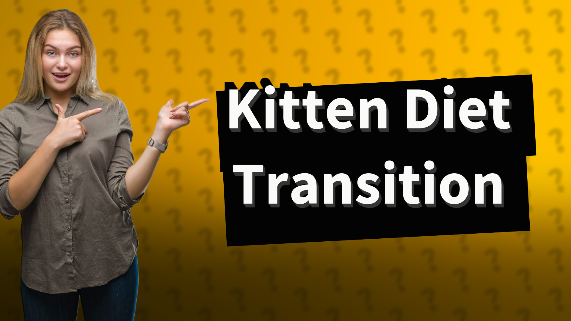 Kitten Diet Transition