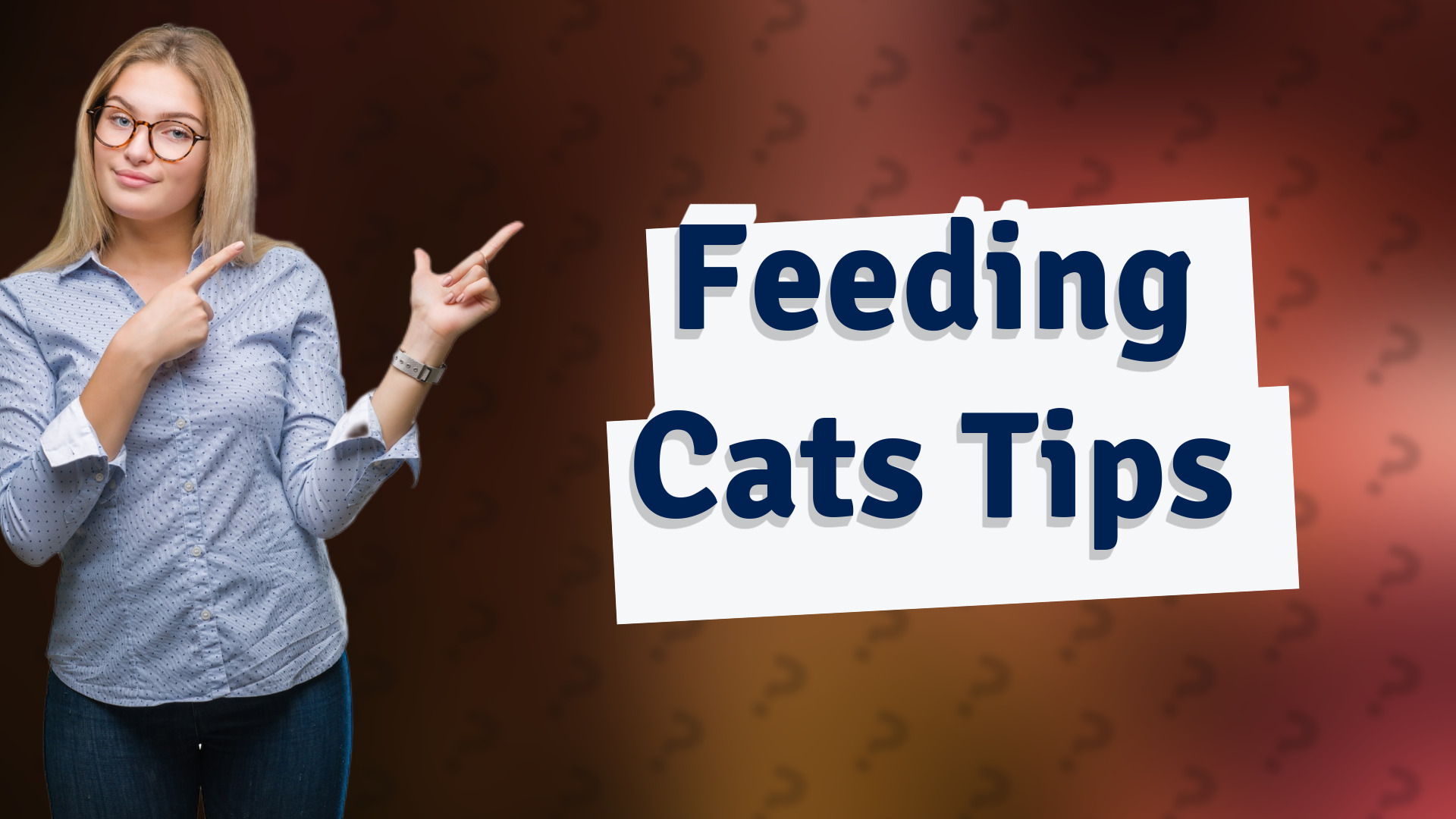 Feeding Cats Tips