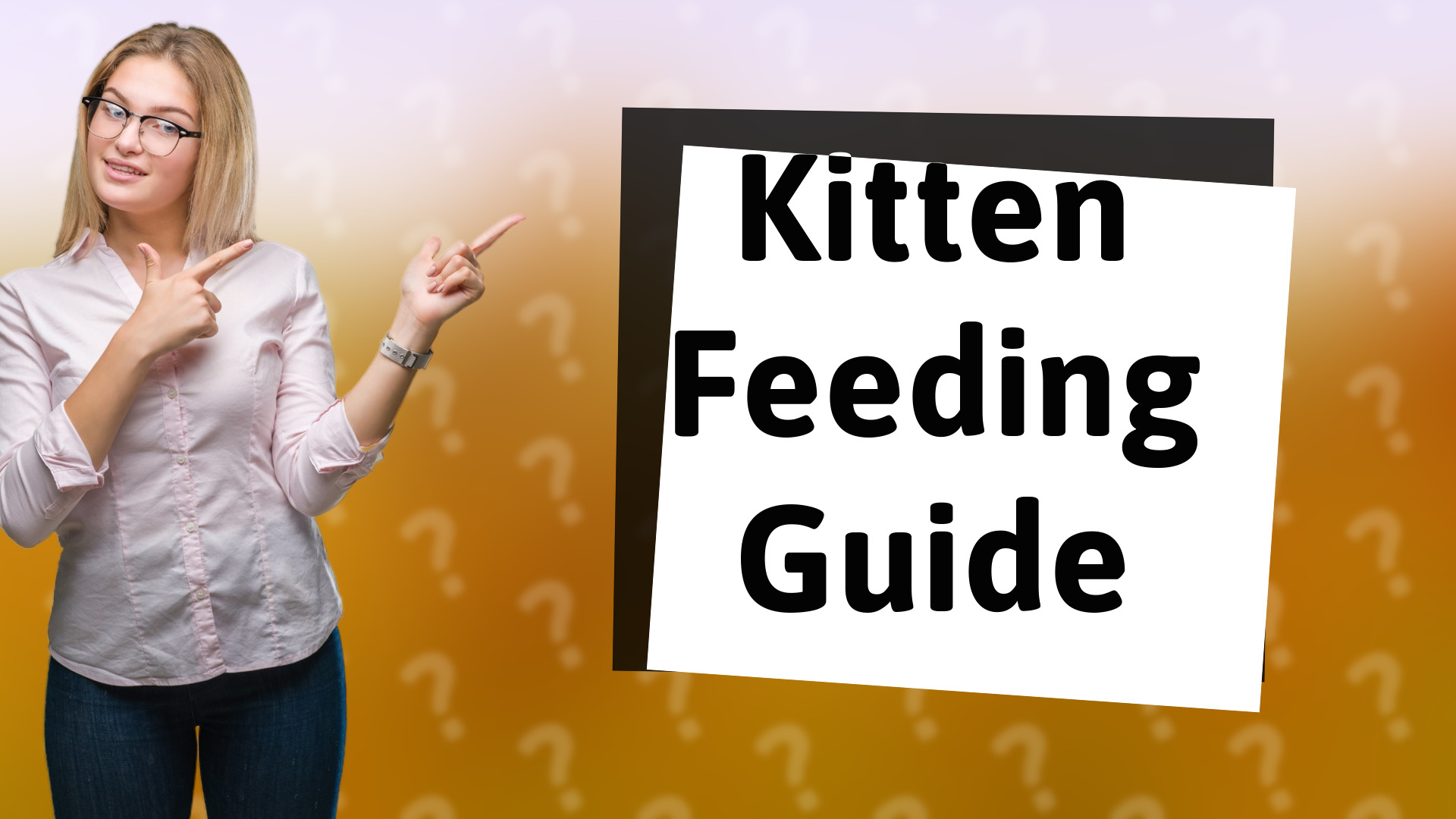 Kitten Feeding Guide