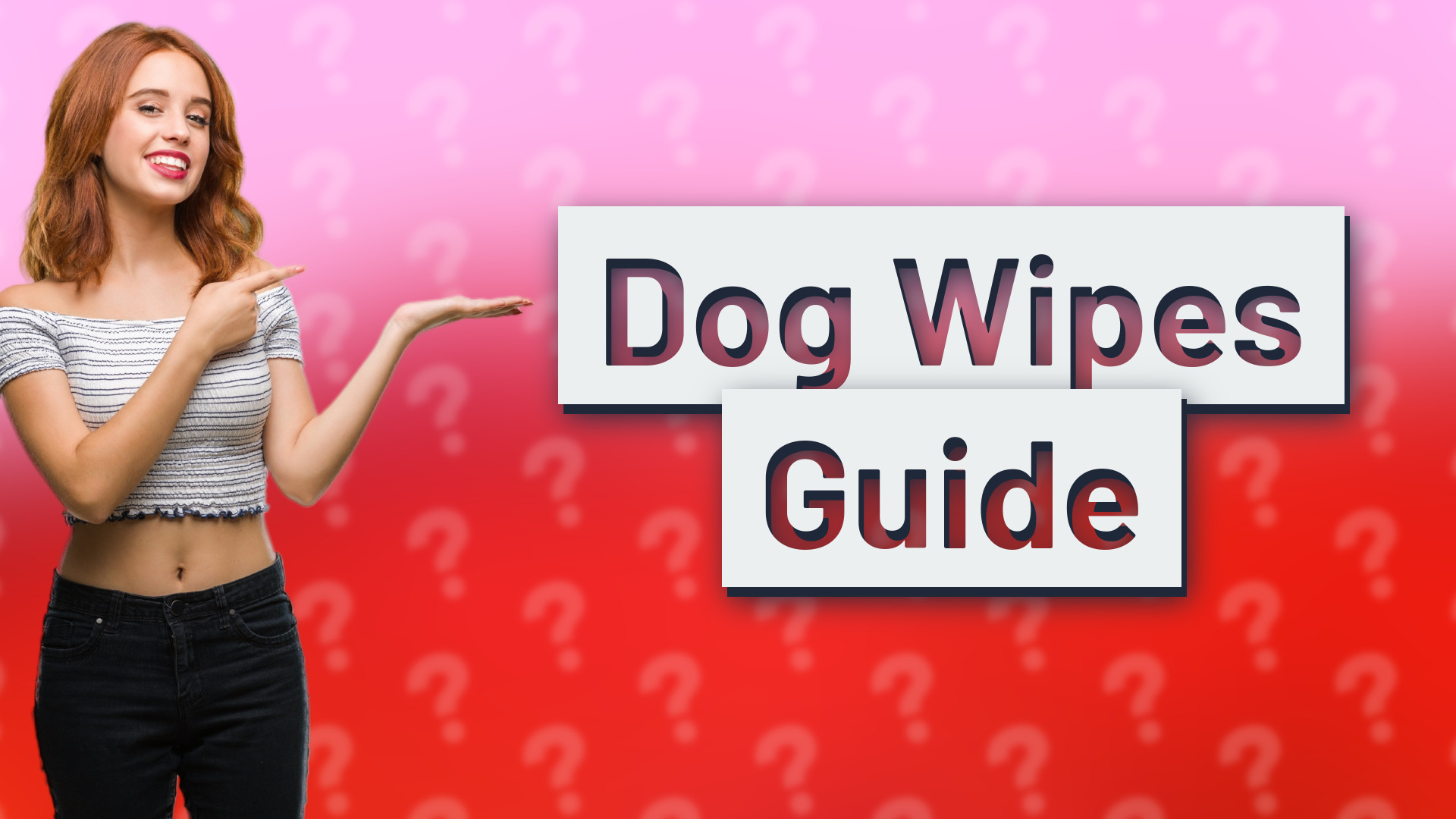 Dog Wipes Guide