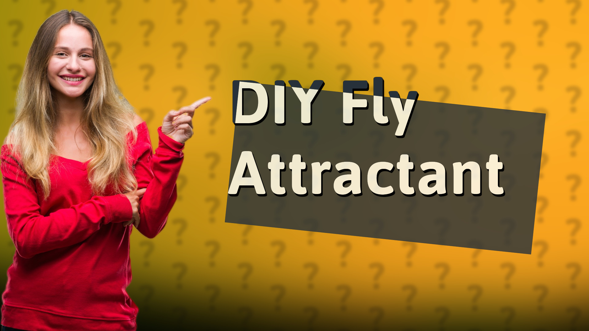 DIY Fly Attractant