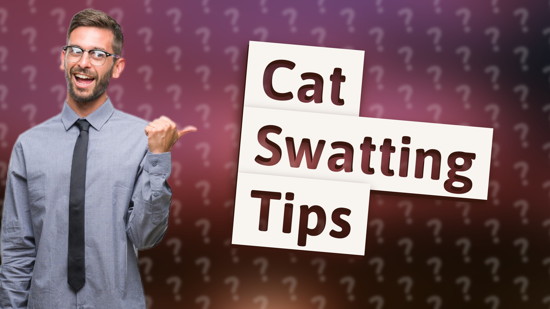 Cat Swatting Tips