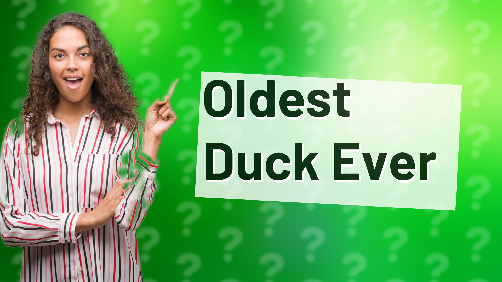 Oldest Duck Ever