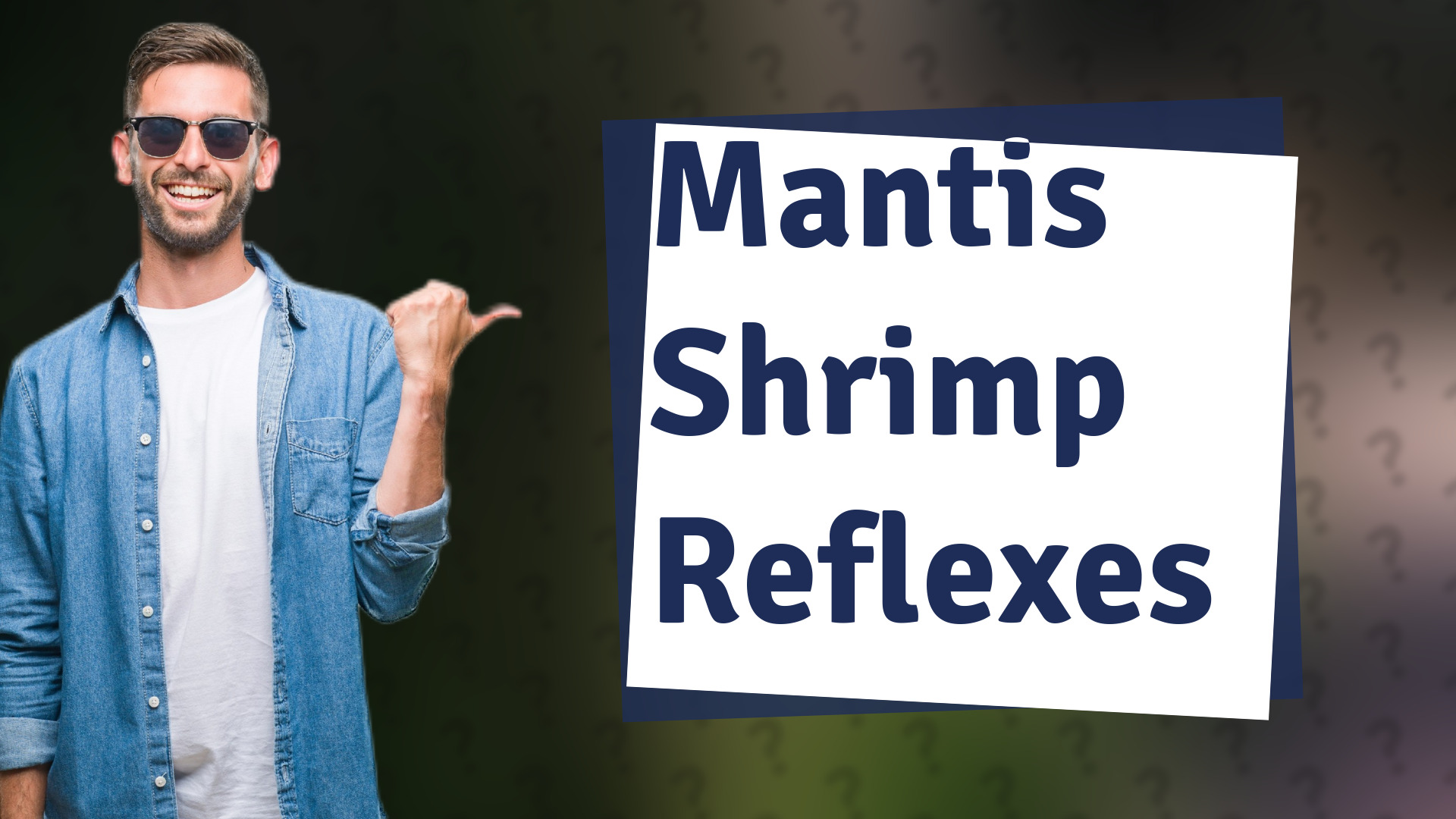 Mantis Shrimp Reflexes