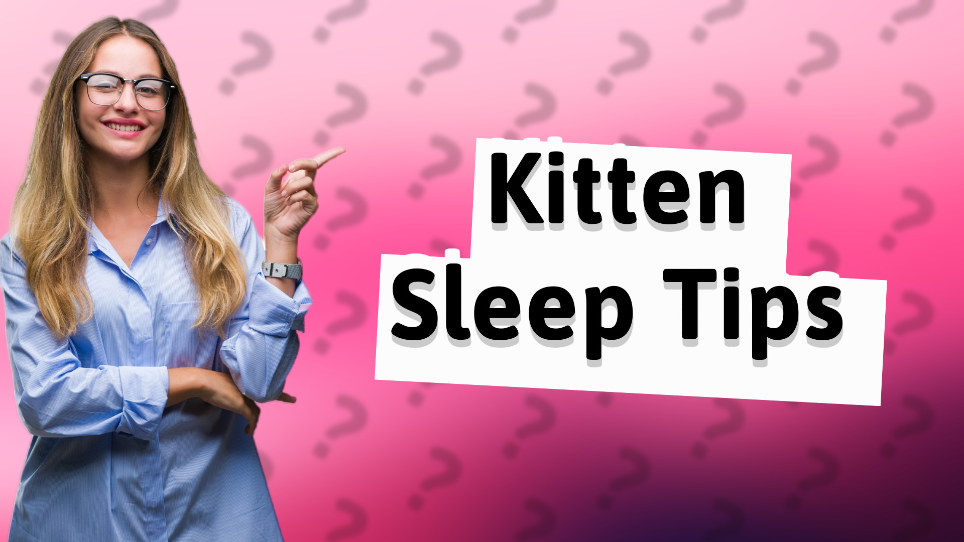 Kitten Sleep Tips