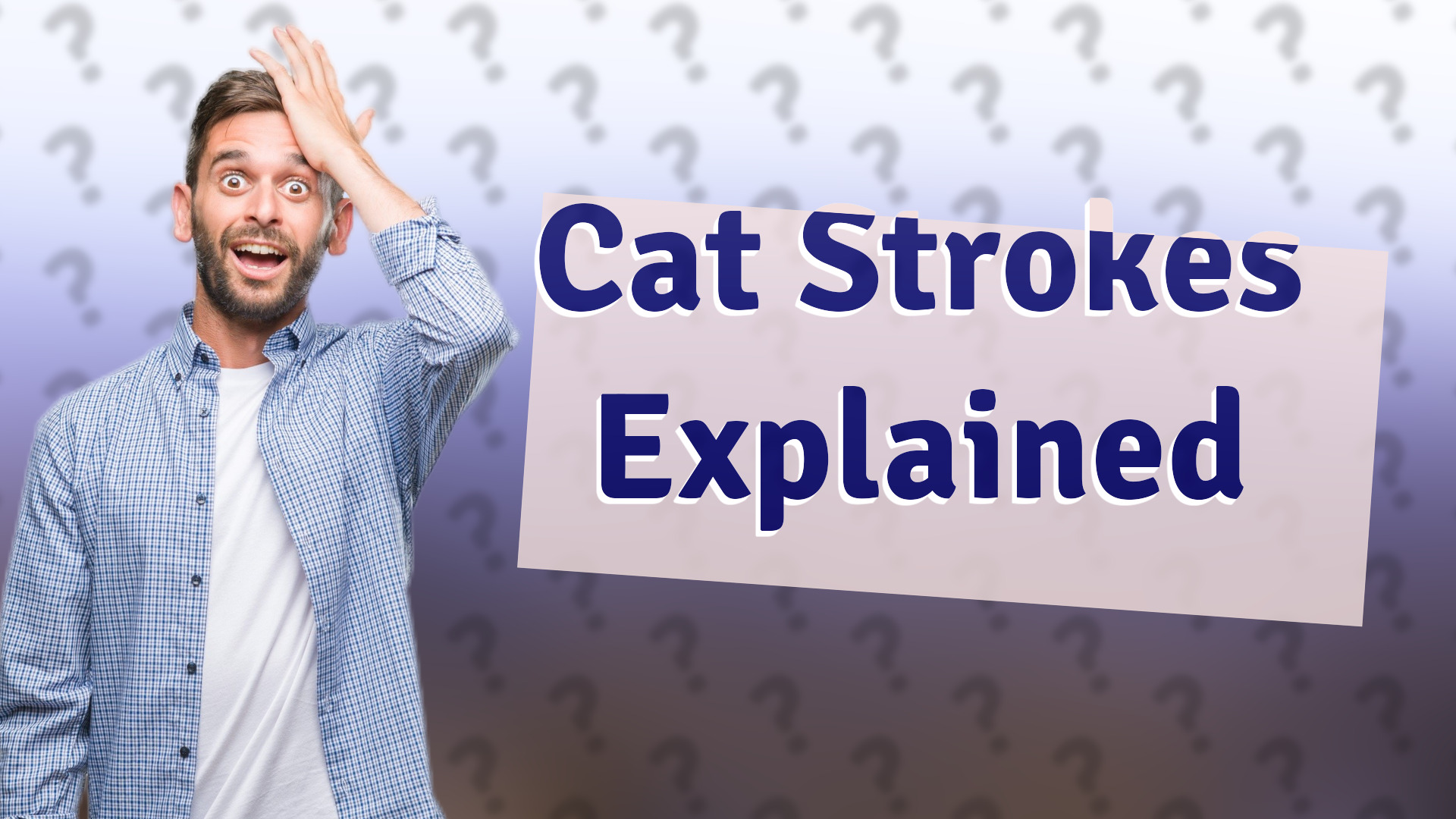 Cat Strokes Explained