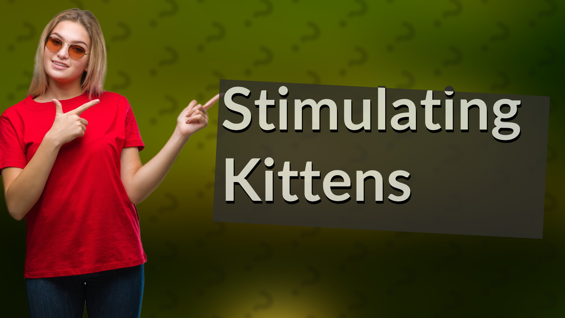 Stimulating Kittens