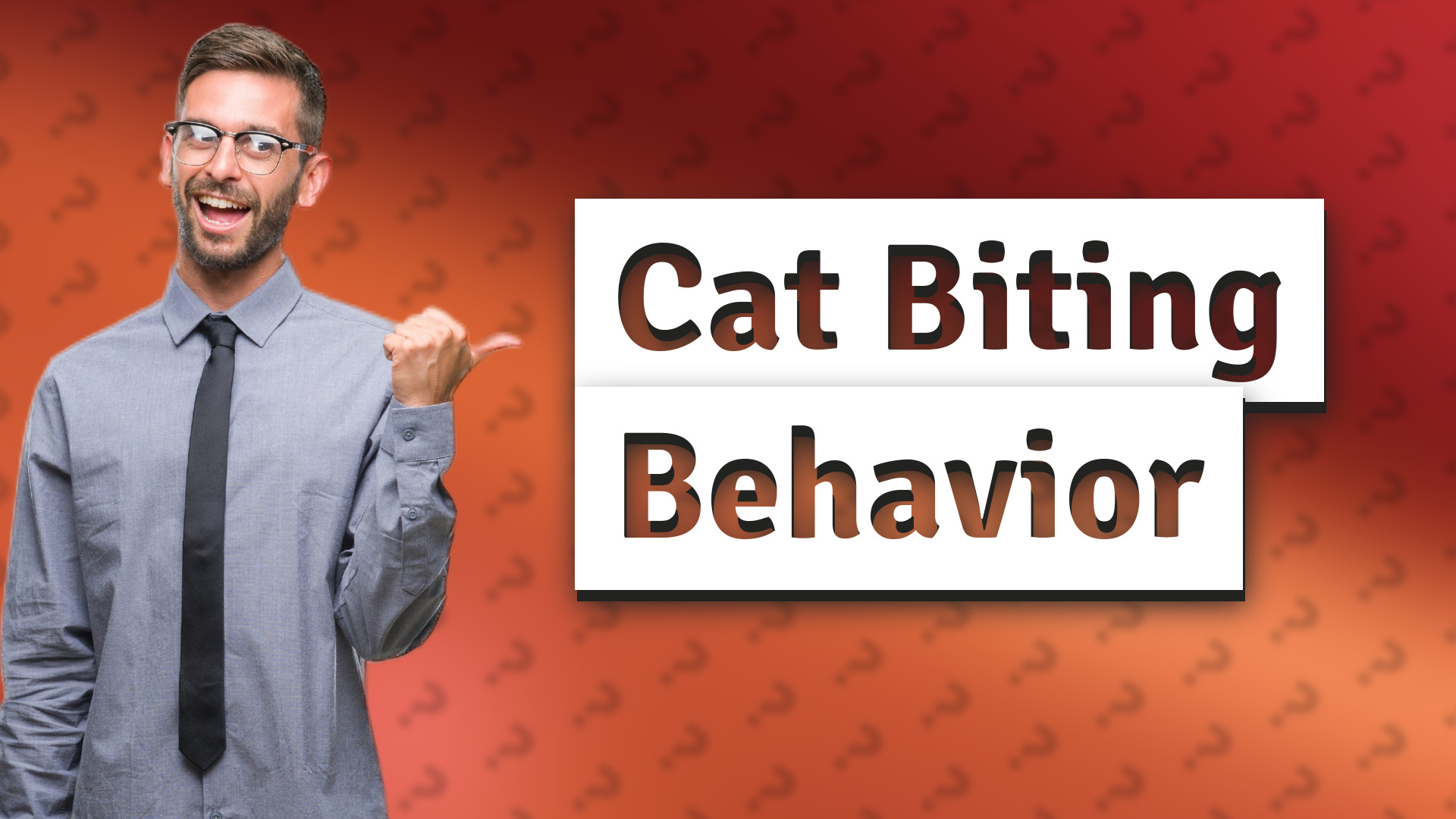 Cat Biting Behavior