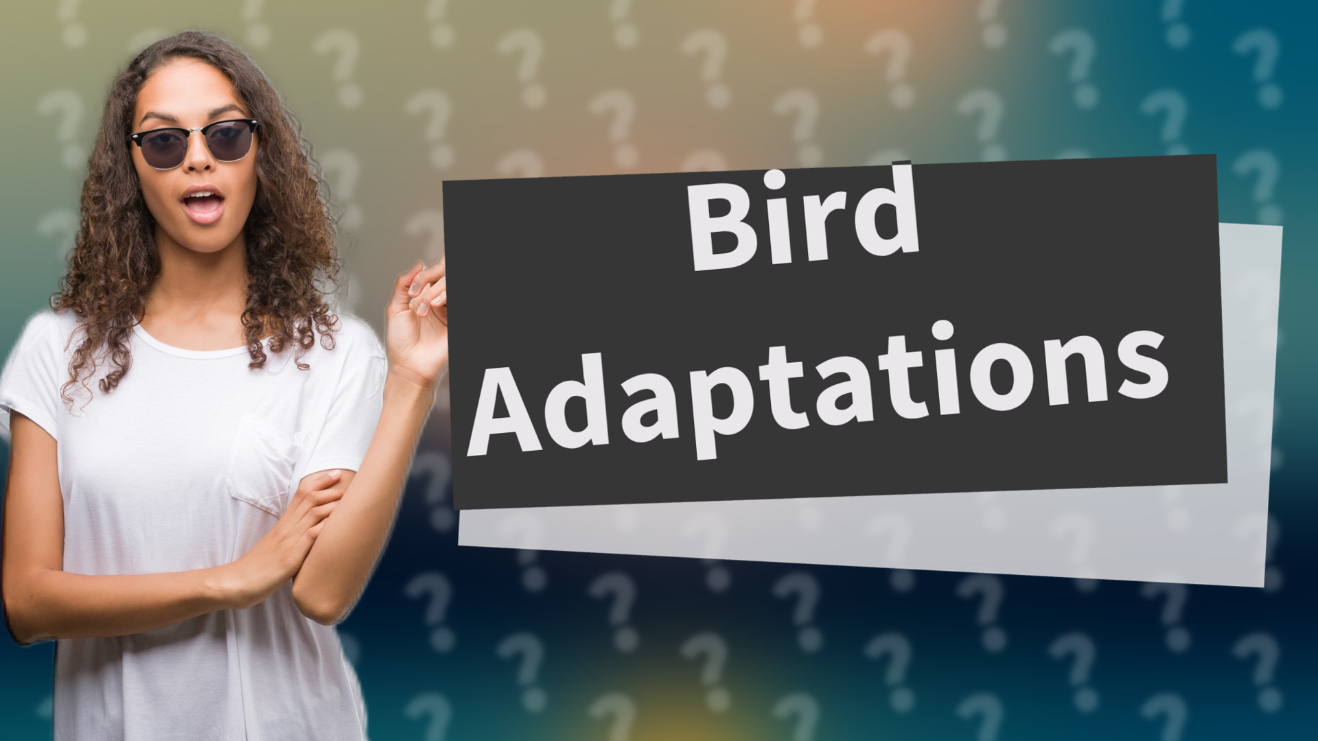 Bird Adaptations