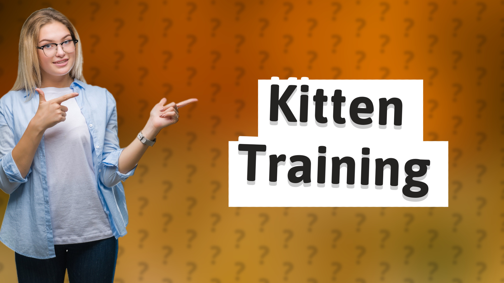 Kitten Training