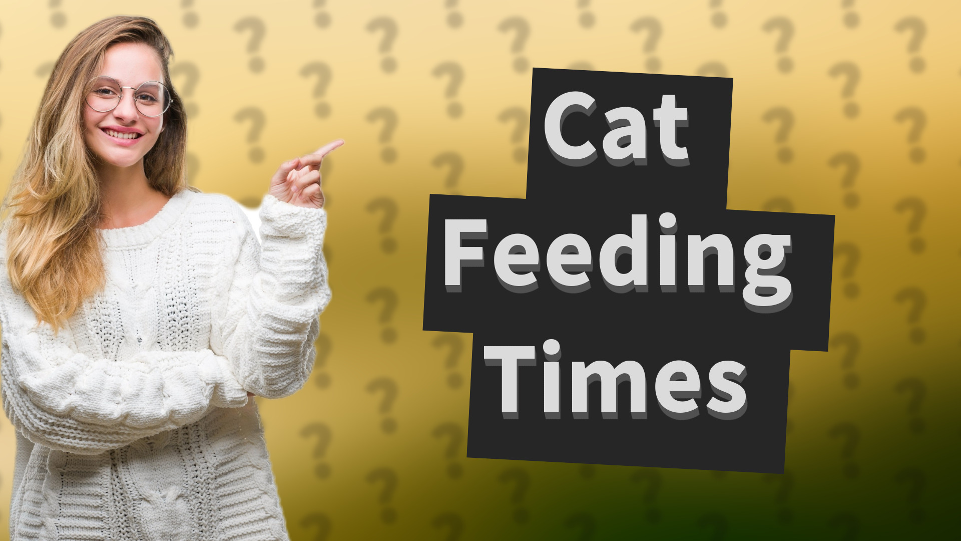 Cat Feeding Times
