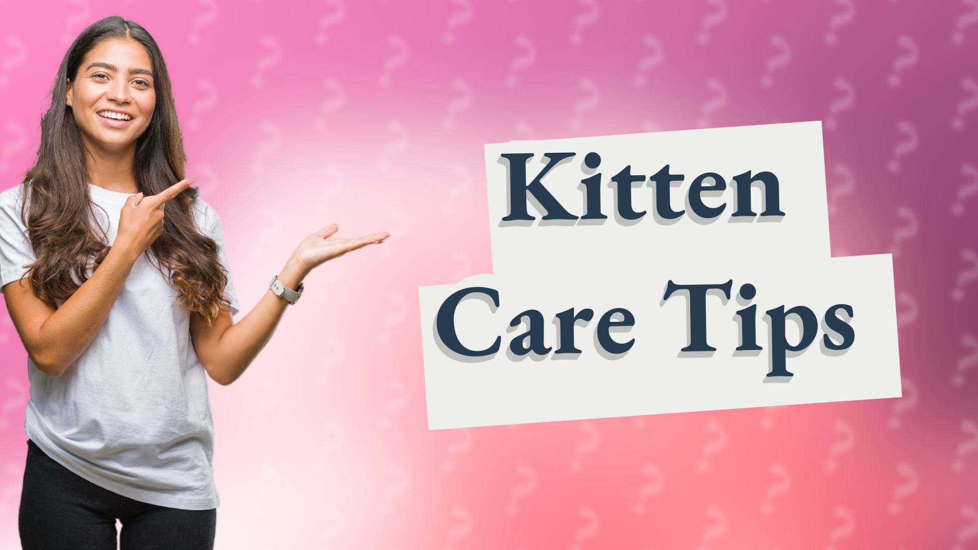 Kitten Care Tips