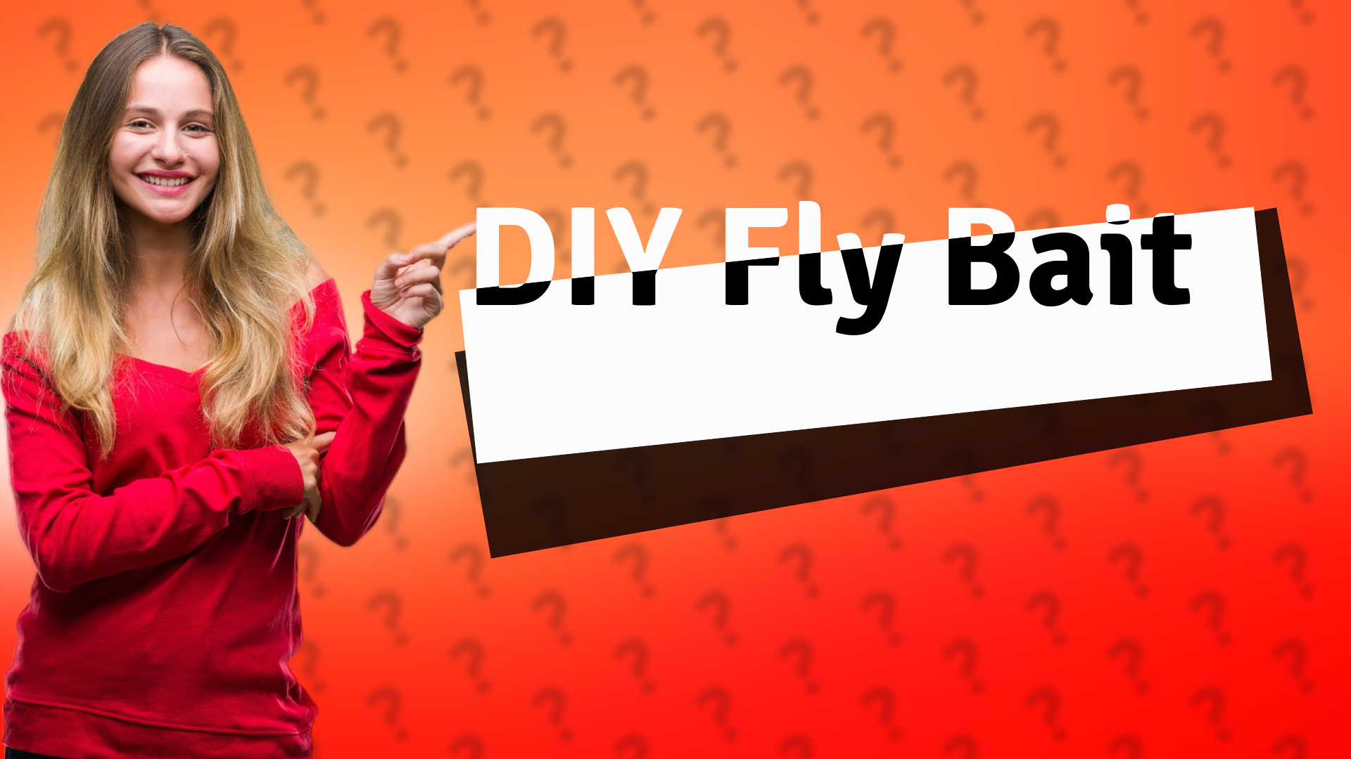 DIY Fly Bait
