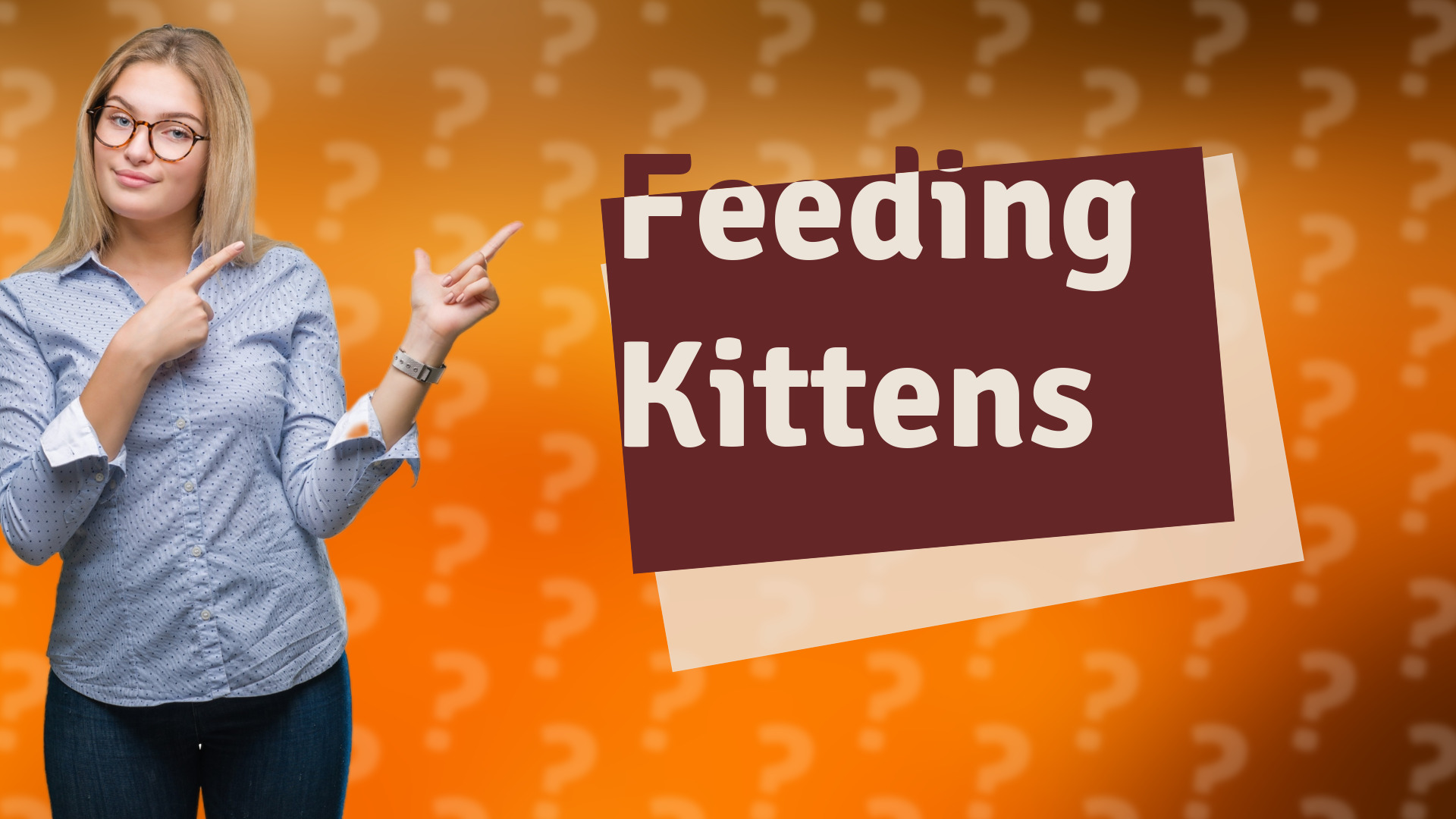 Feeding Kittens