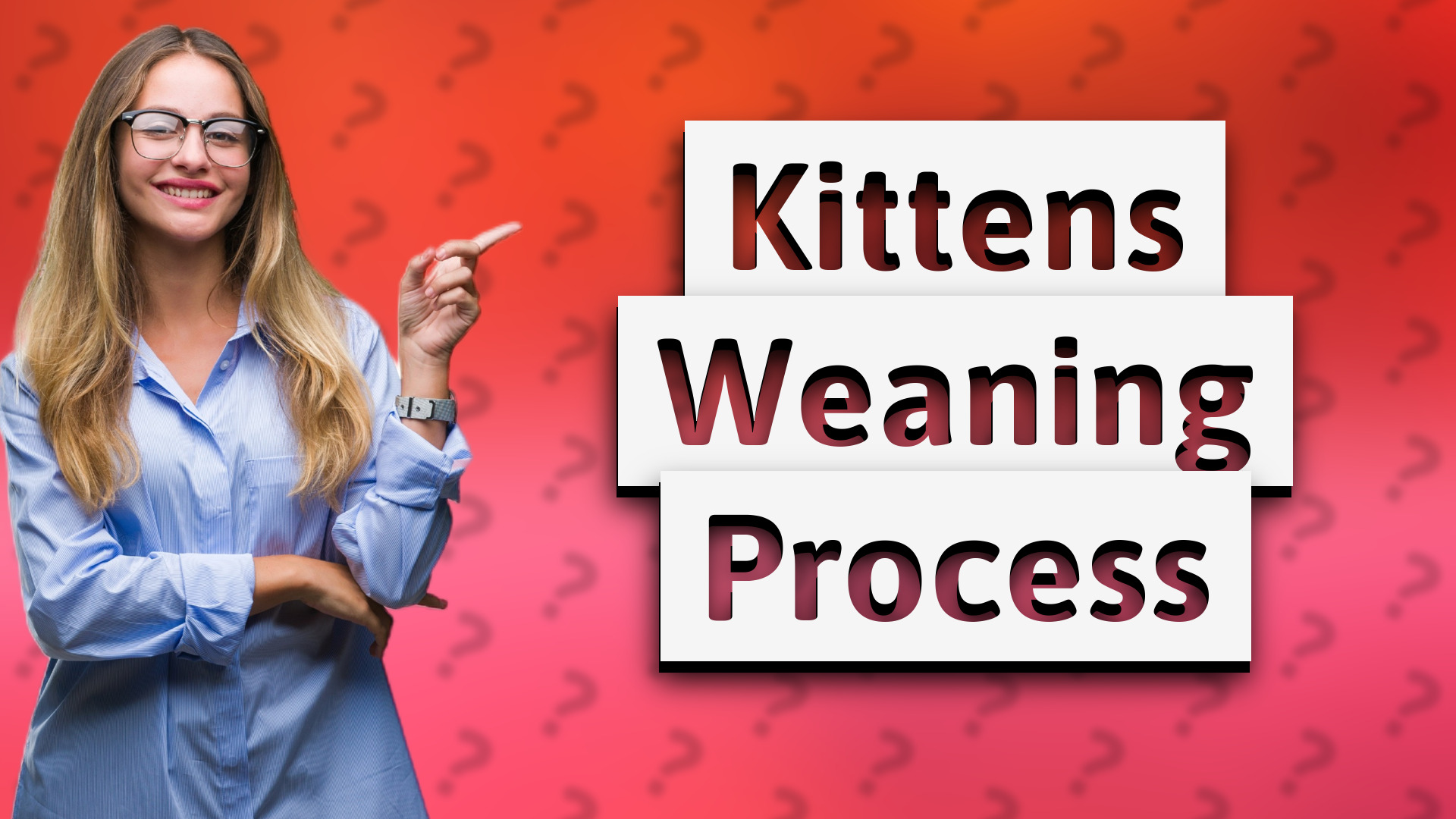Kittens Weaning Process
