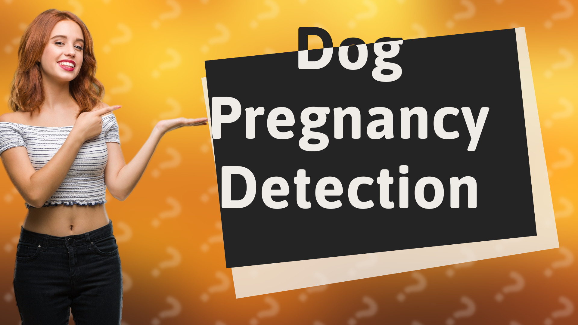 Dog Pregnancy Detection