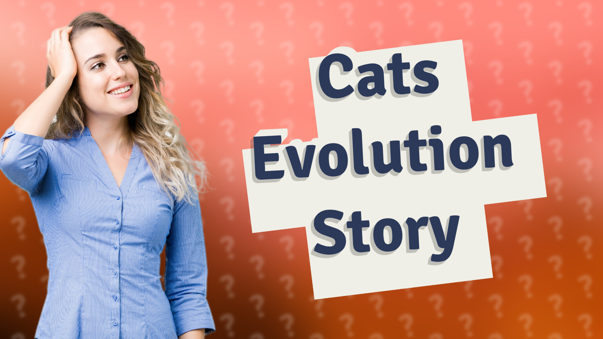 Cats Evolution Story