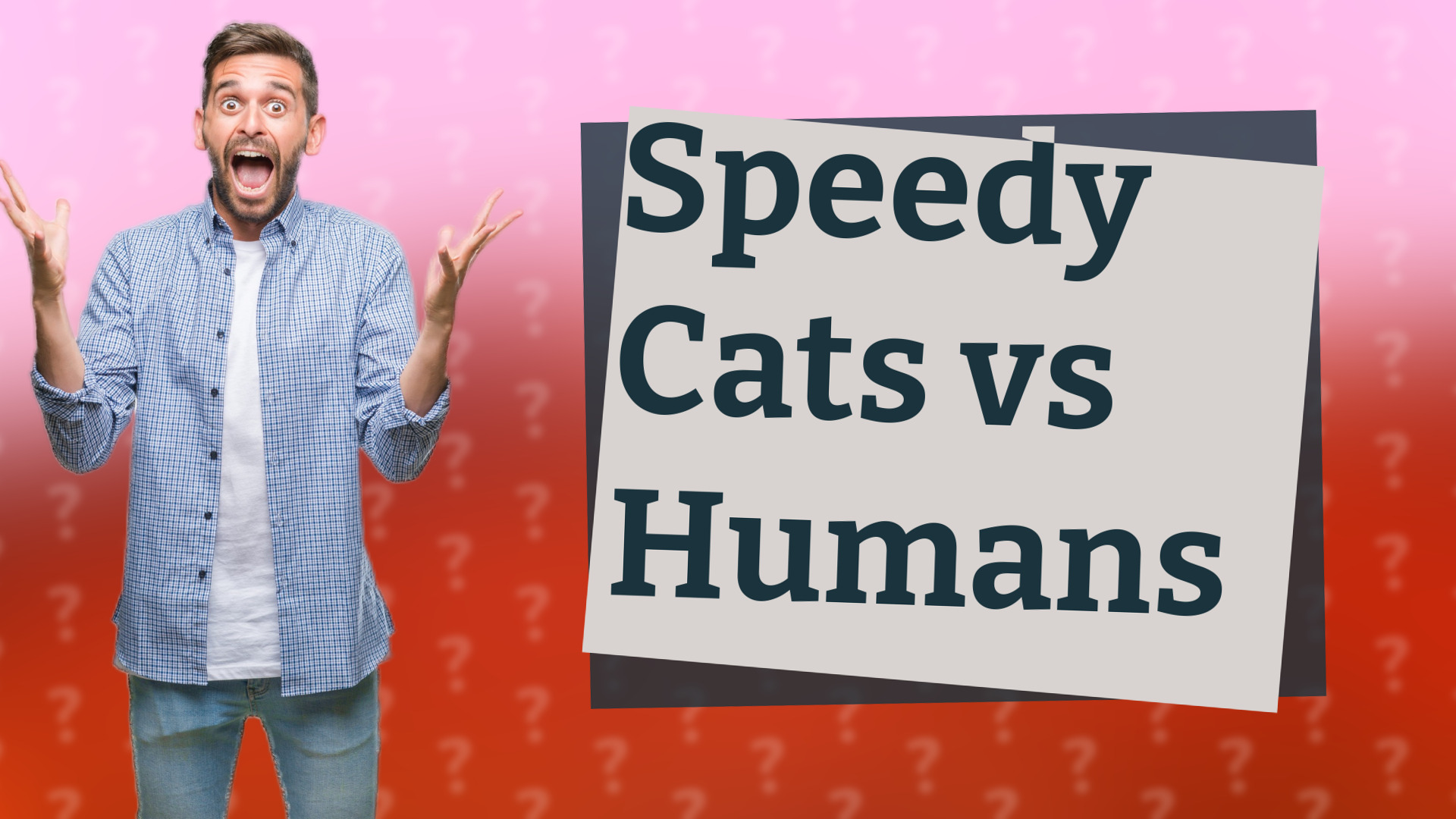 Speedy Cats vs Humans