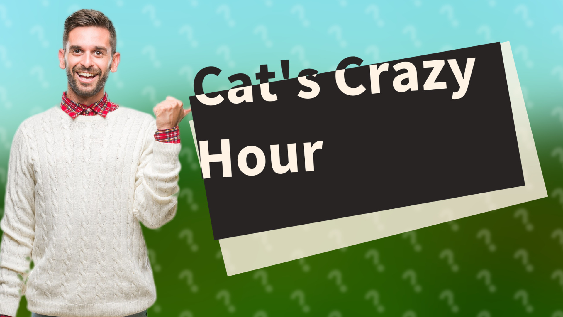 Cat's Crazy Hour