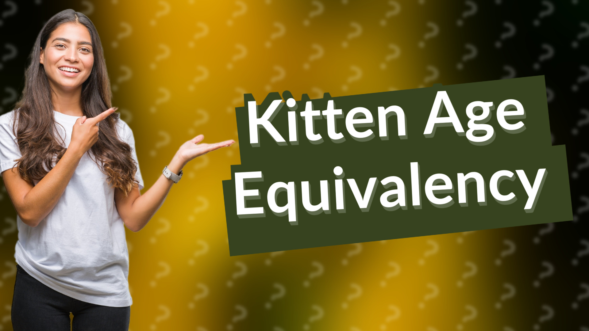 Kitten Age Equivalency