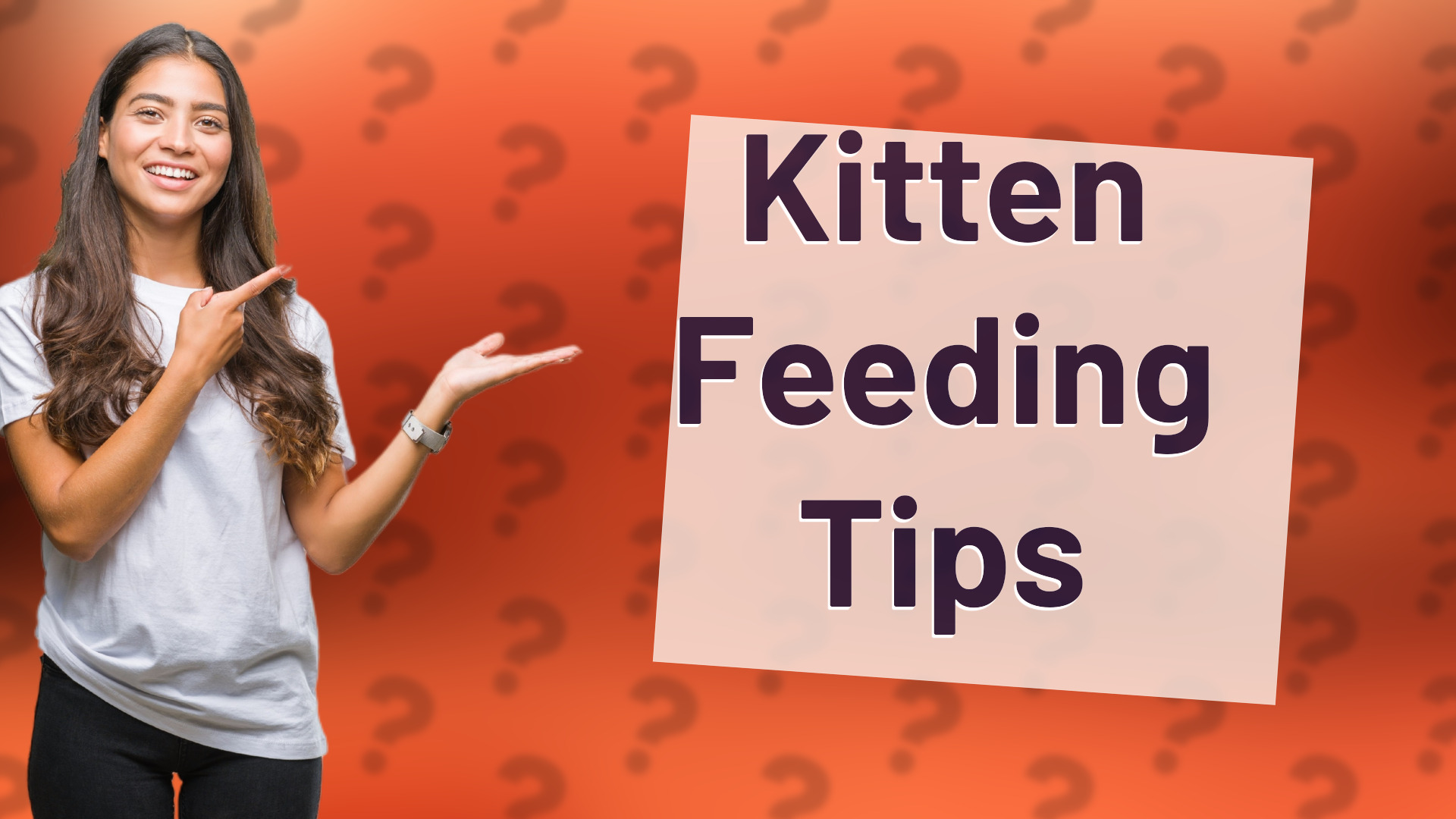 Kitten Feeding Tips