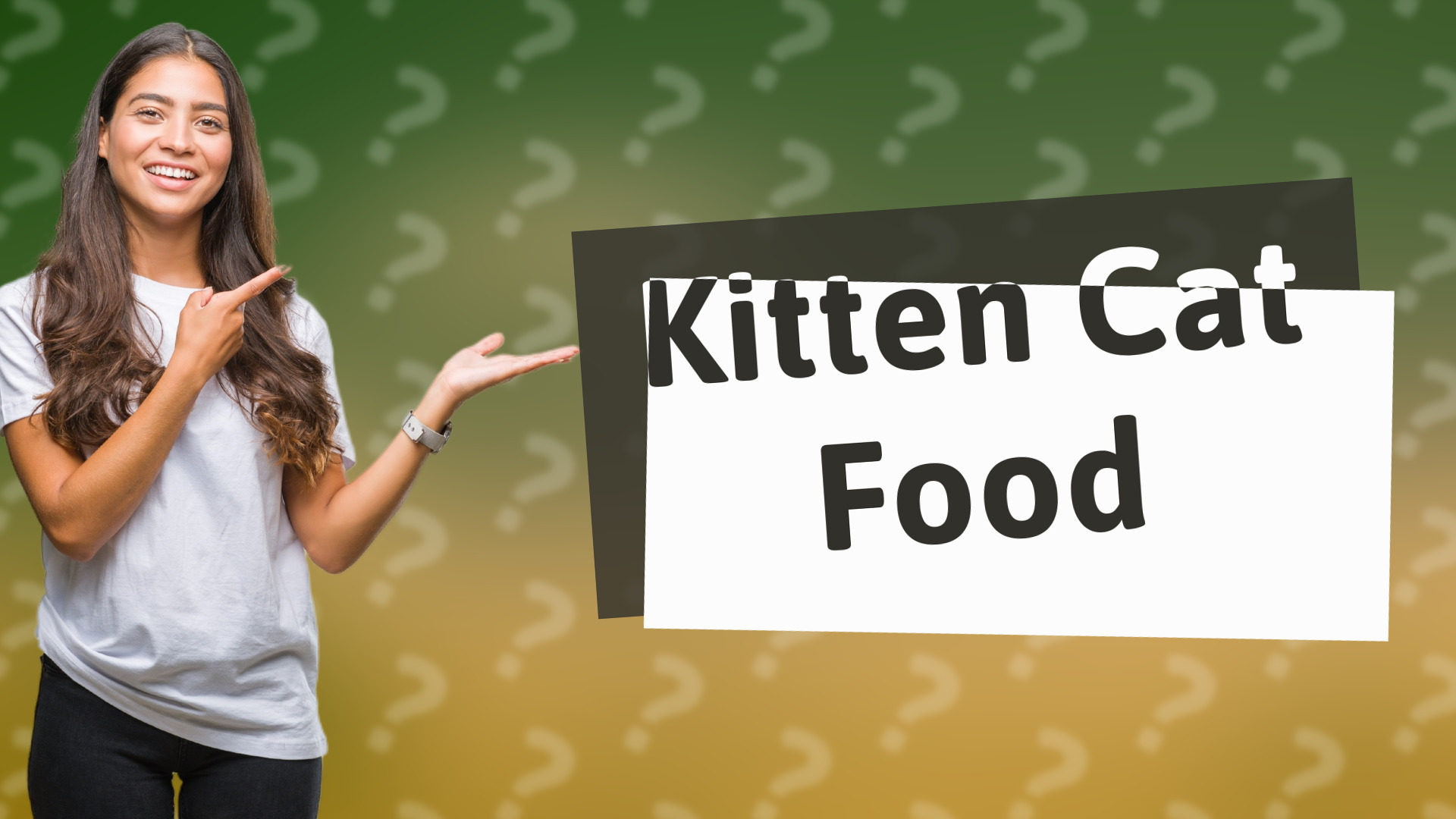 Kitten Cat Food