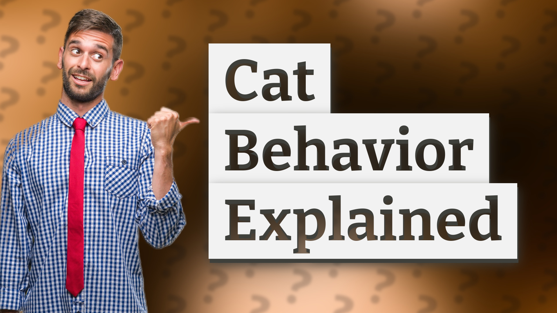 Cat Behavior Explained