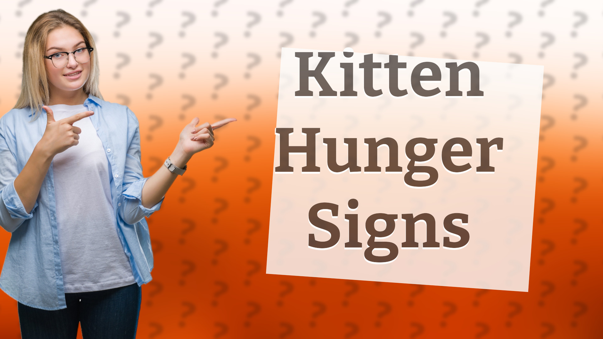 Kitten Hunger Signs