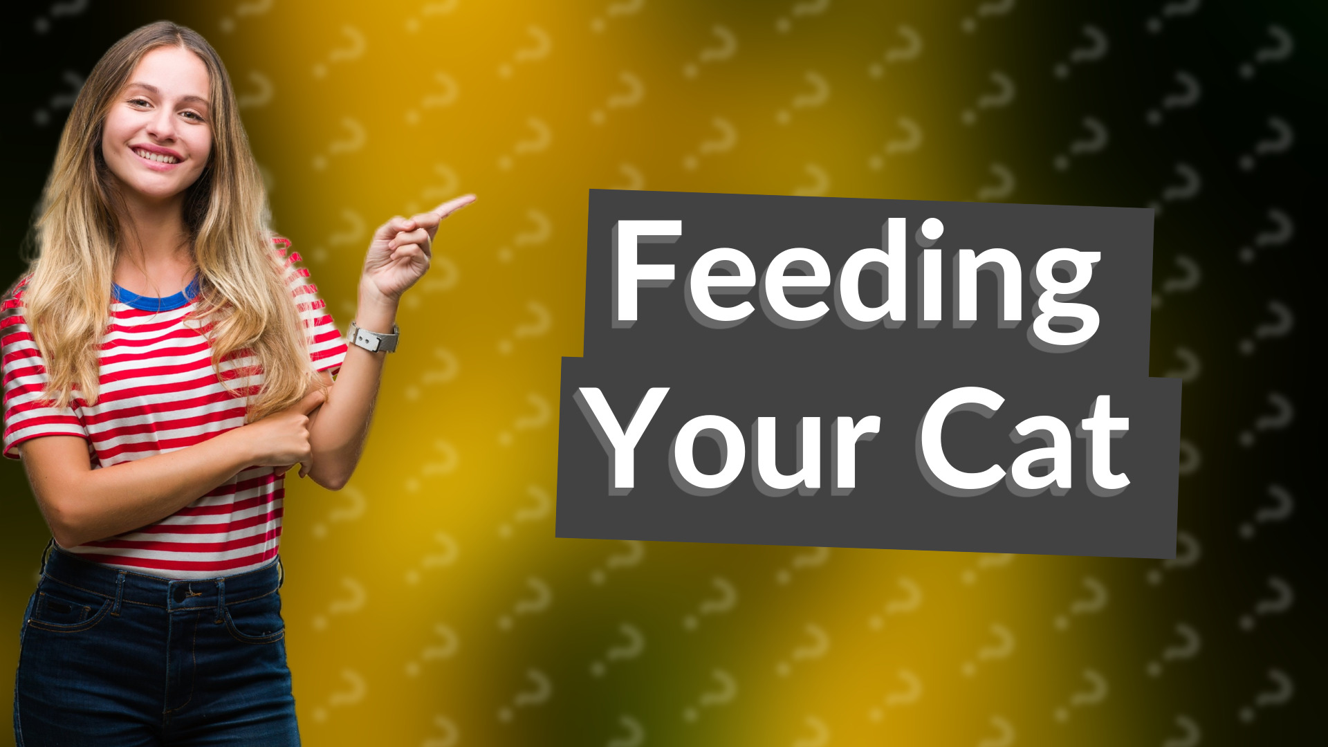 Feeding Your Cat