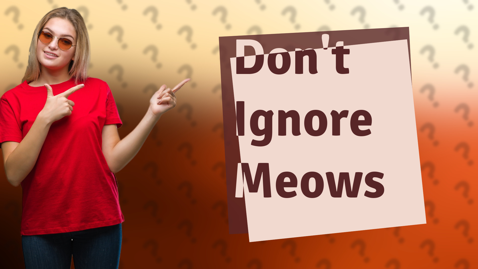 Don't Ignore Meows