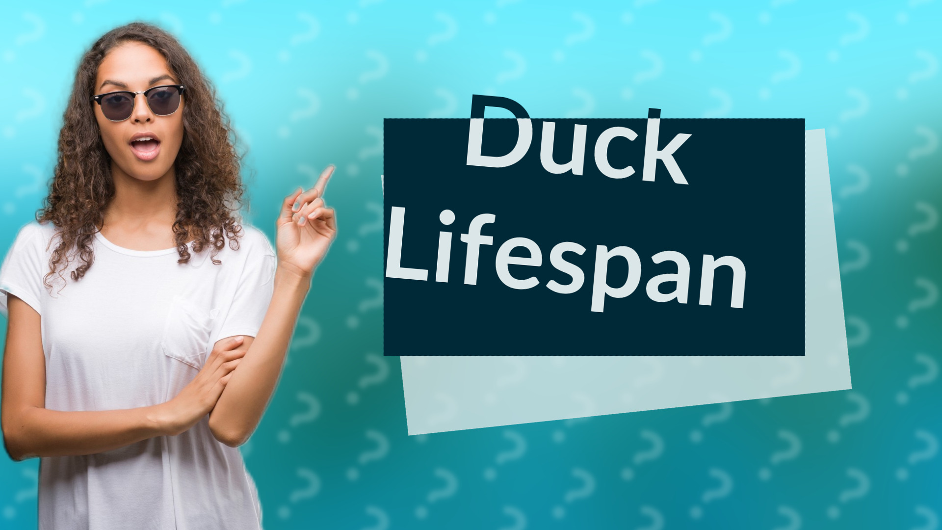 Duck Lifespan