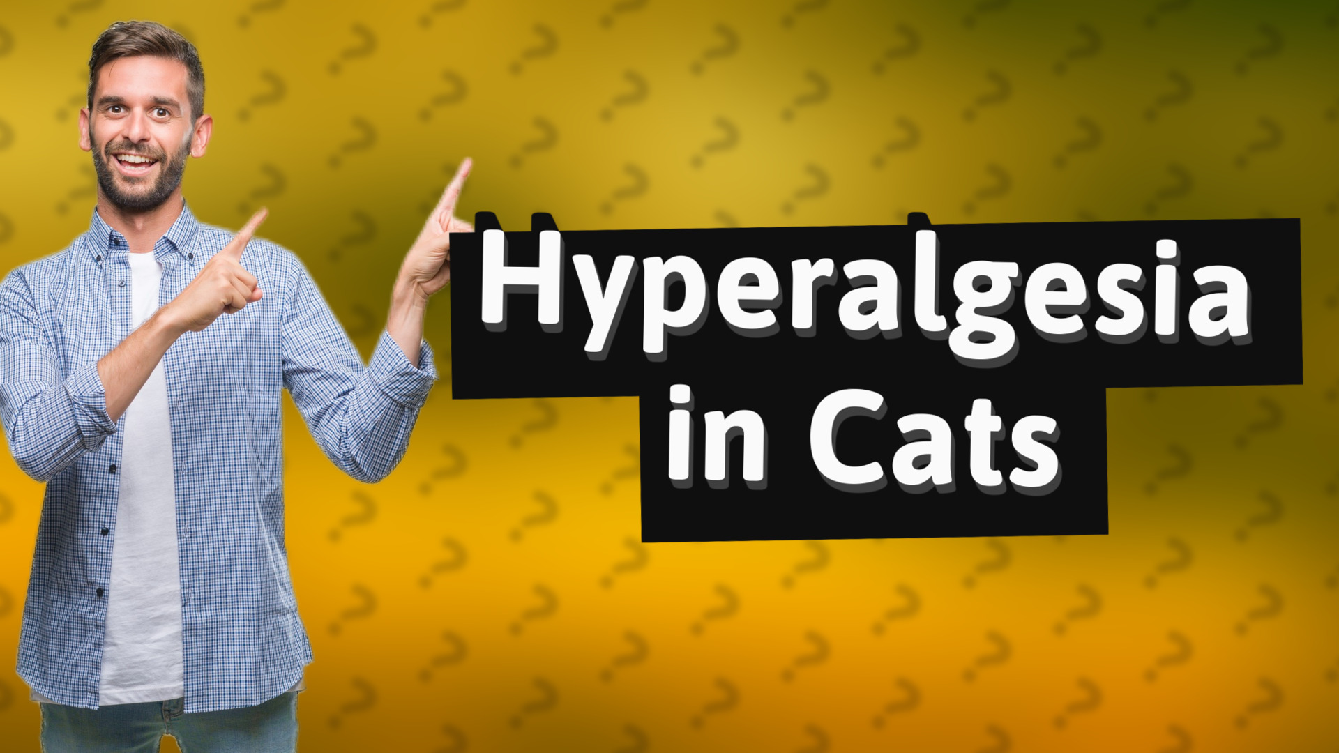 Hyperalgesia in Cats