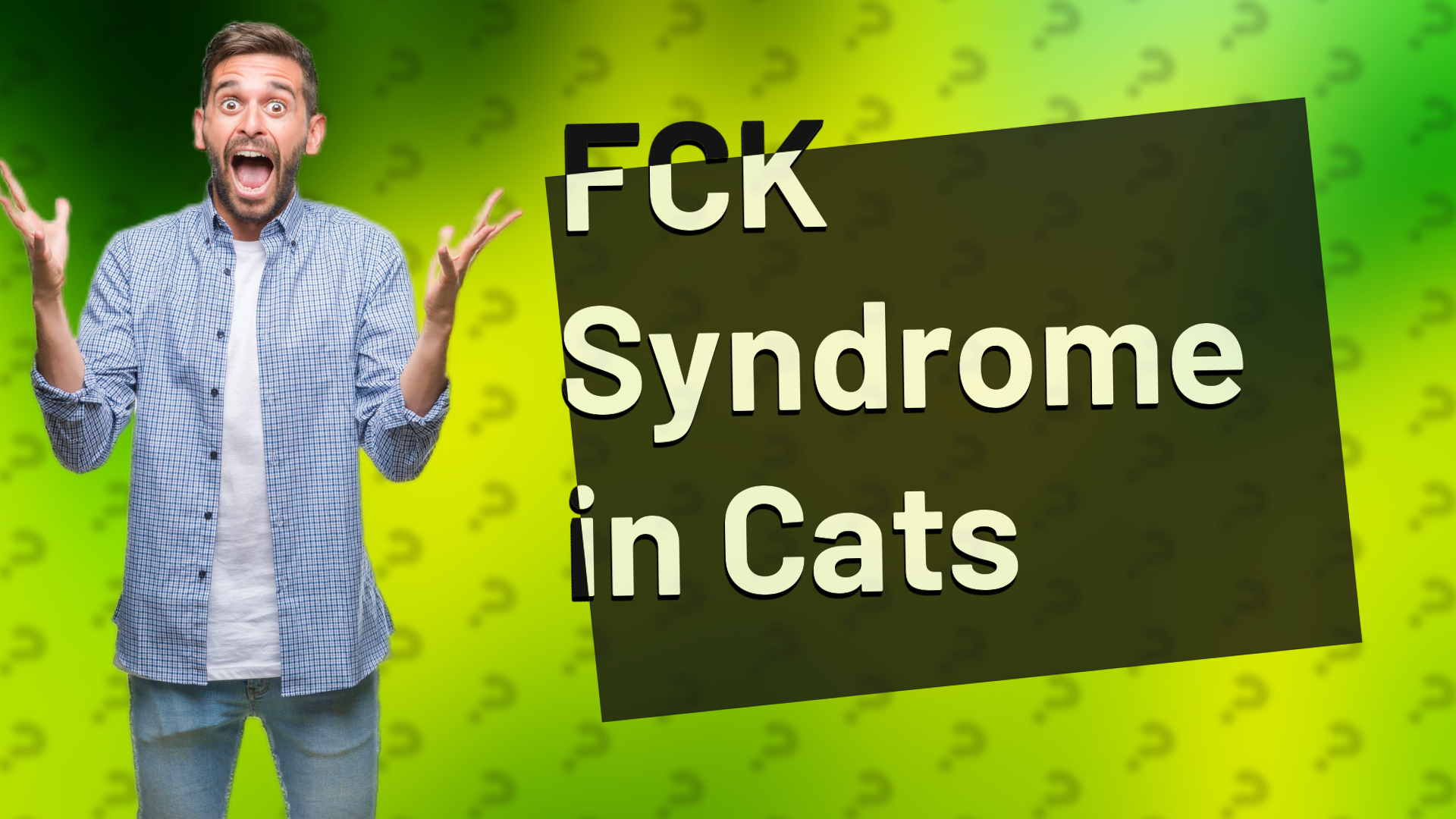 FCK Syndrome in Cats