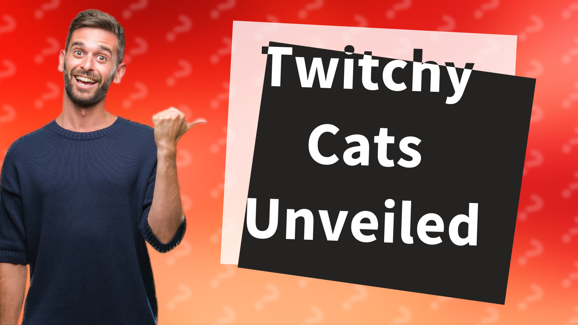 Twitchy Cats Unveiled
