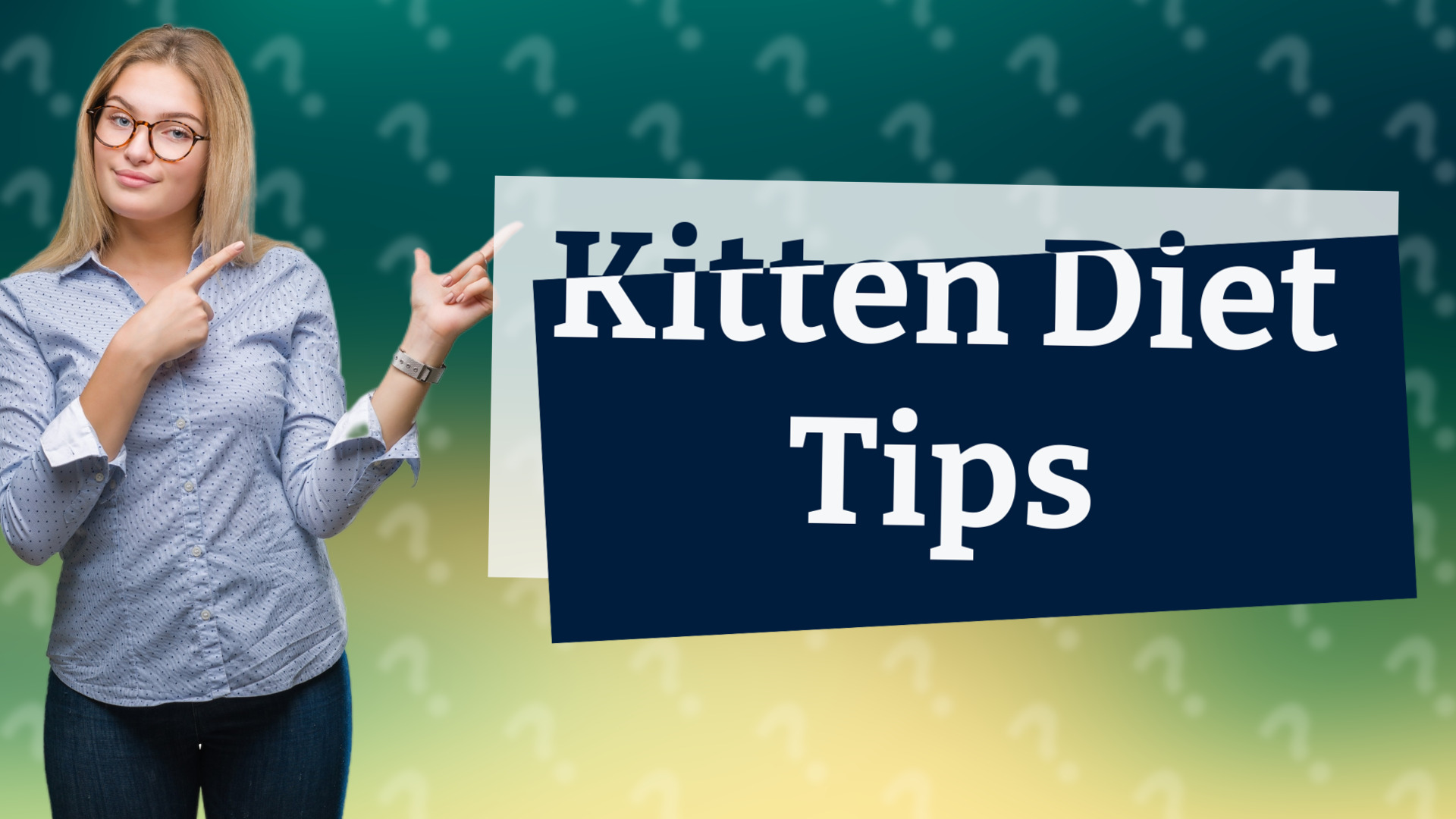 Kitten Diet Tips