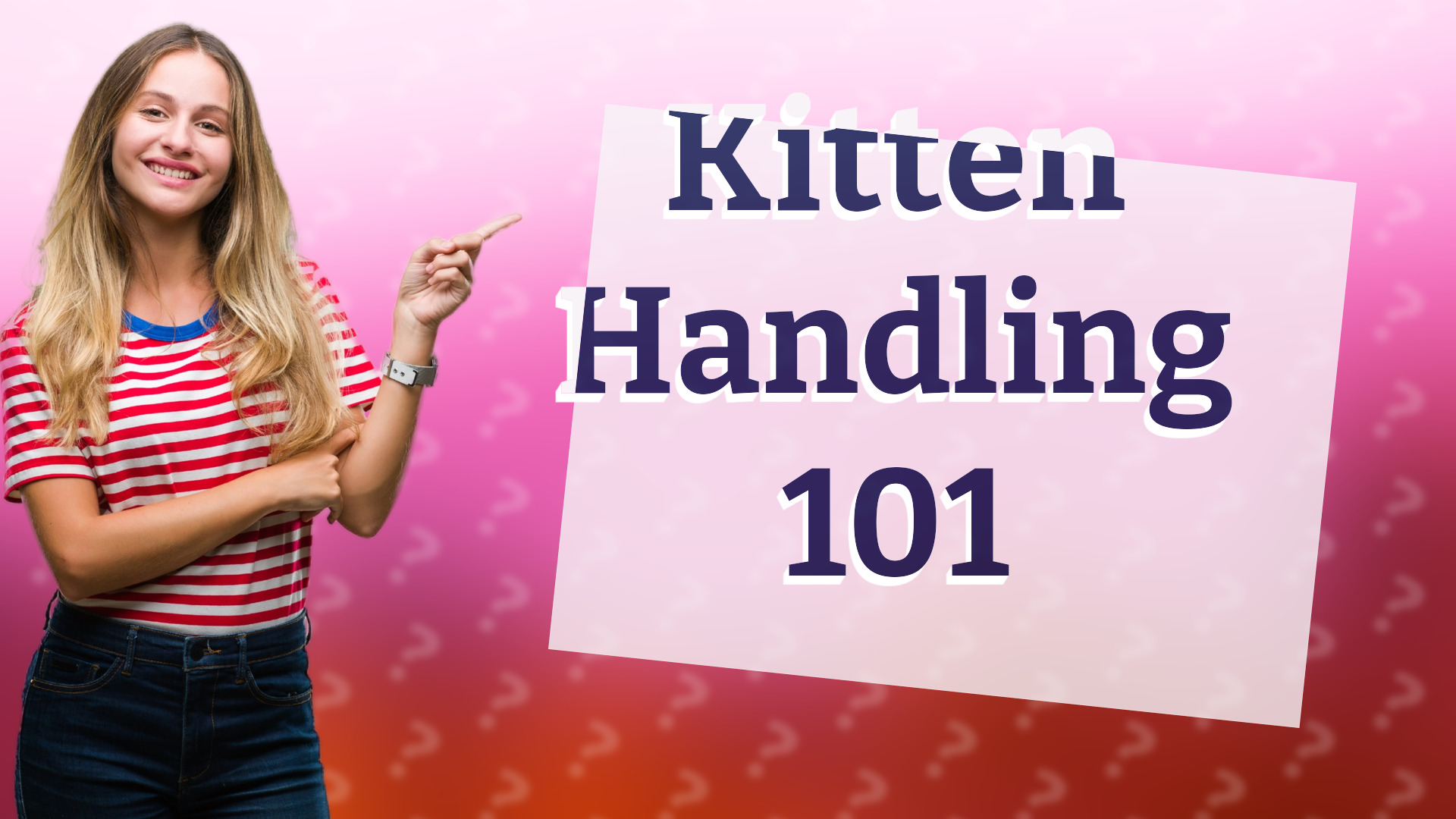 Kitten Handling 101