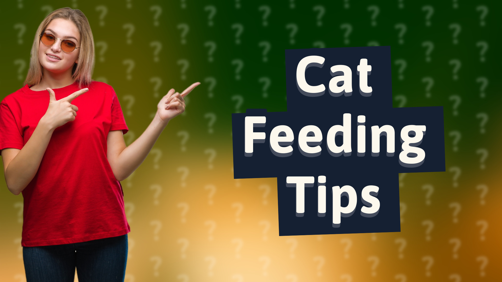 Cat Feeding Tips