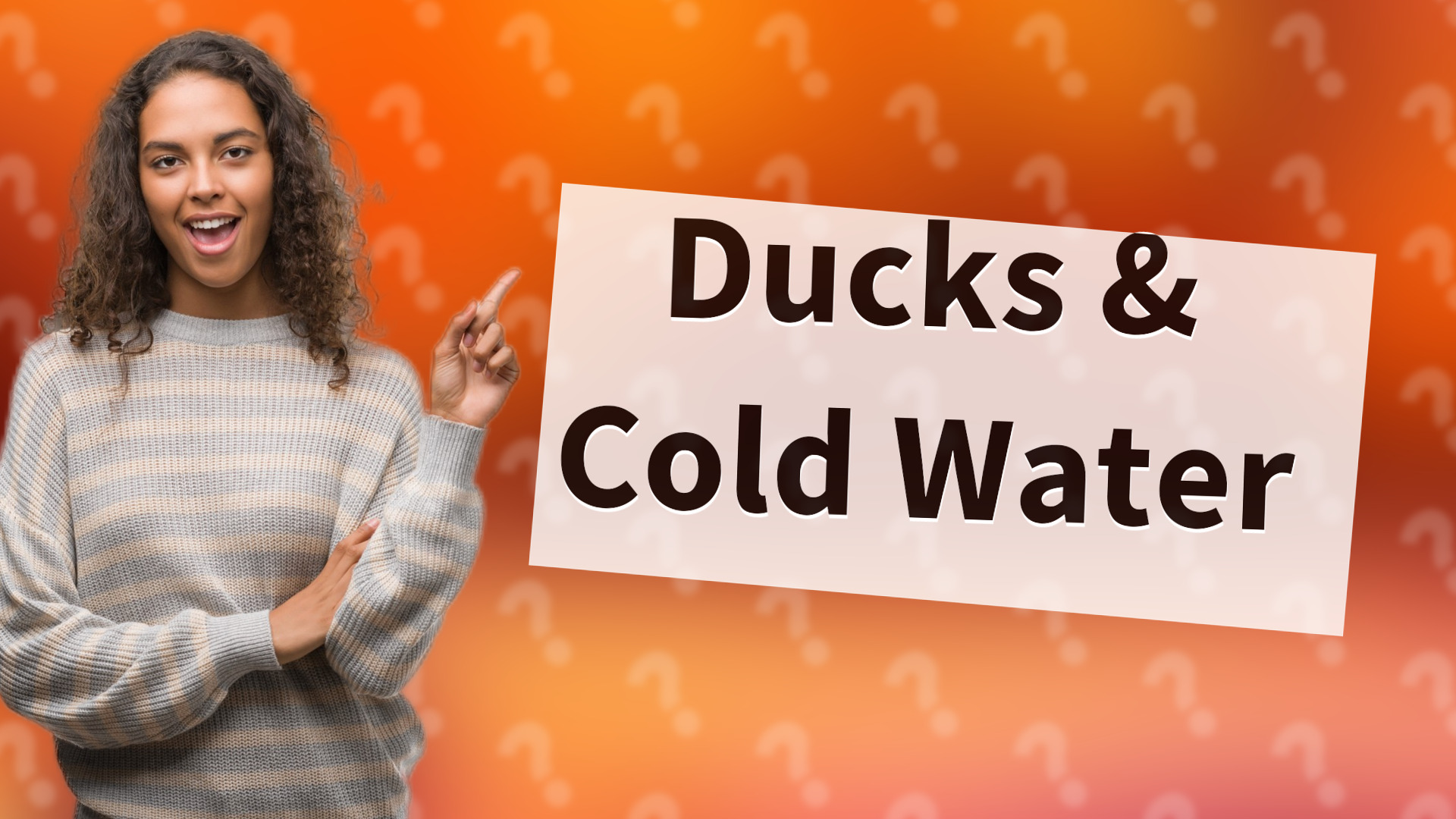 Ducks & Cold Water
