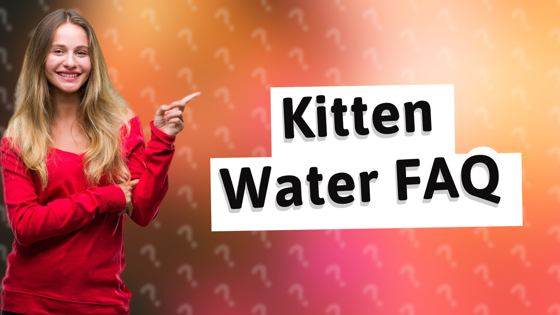 Kitten Water FAQ