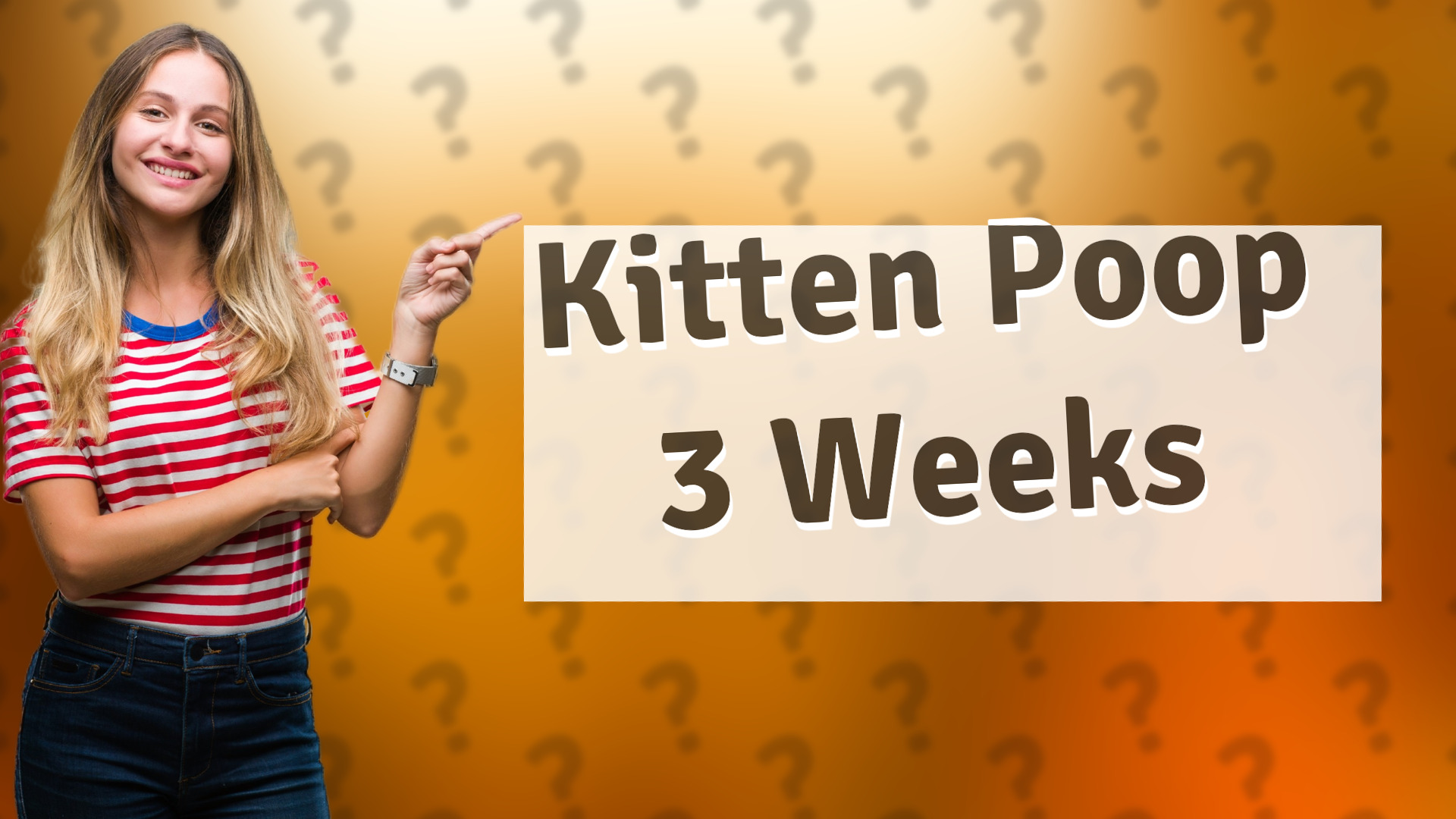 Kitten Poop 3 Weeks