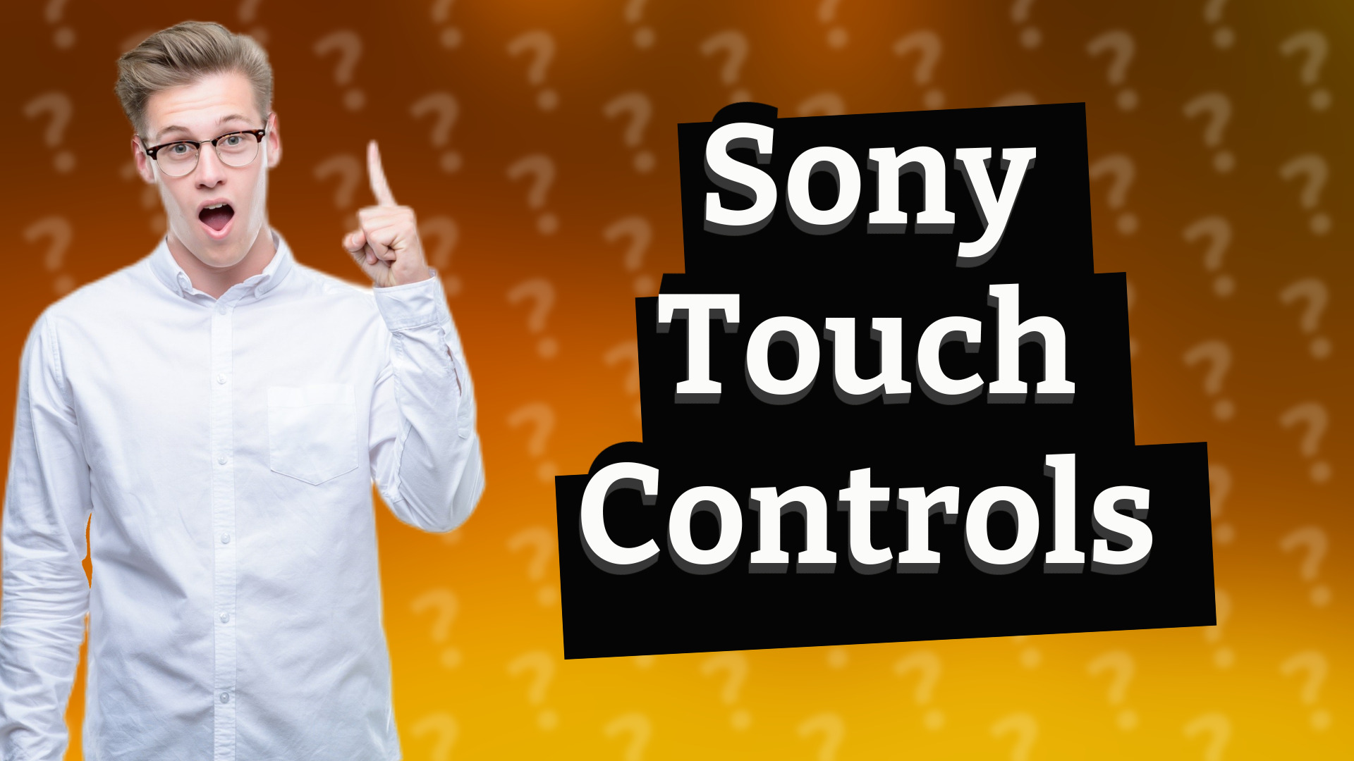 Sony Touch Controls