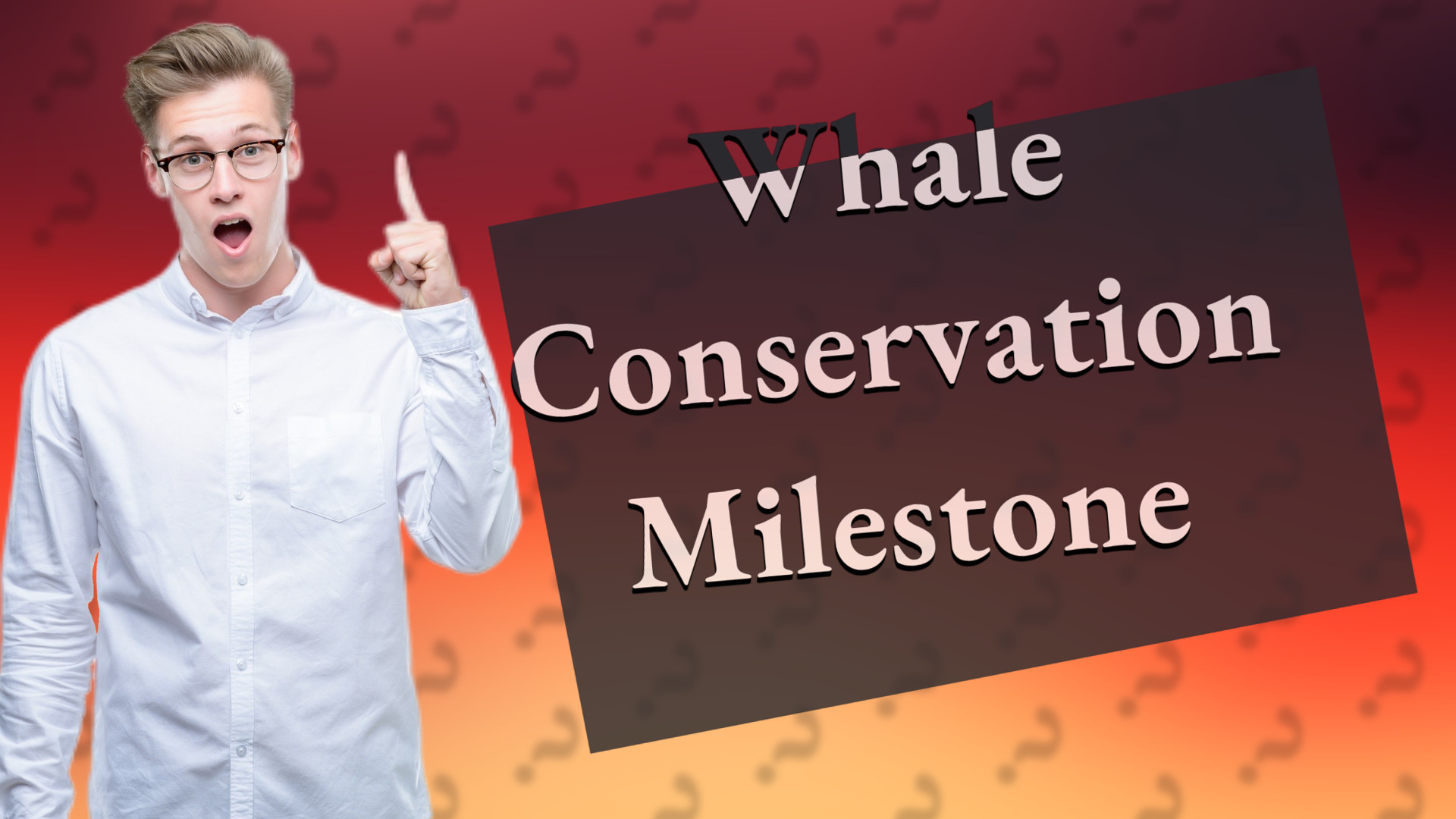 Whale Conservation Milestone