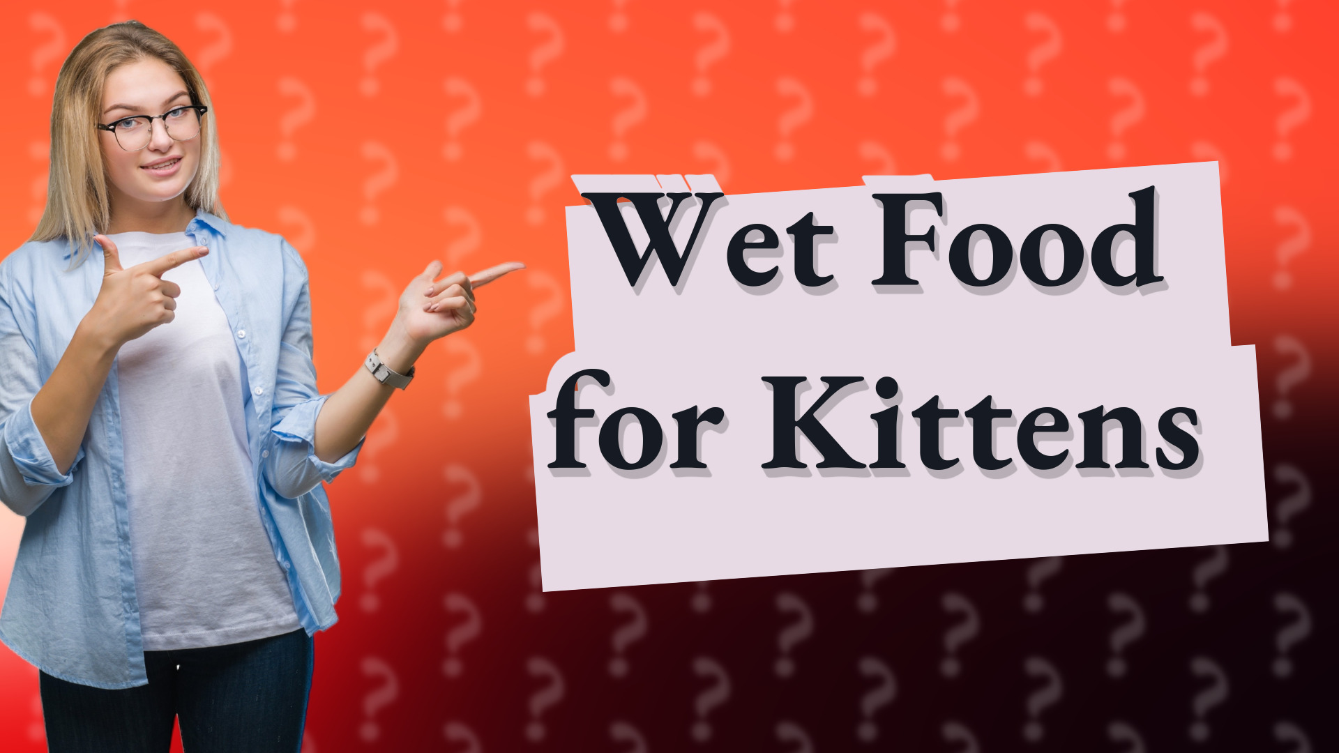 Wet Food for Kittens