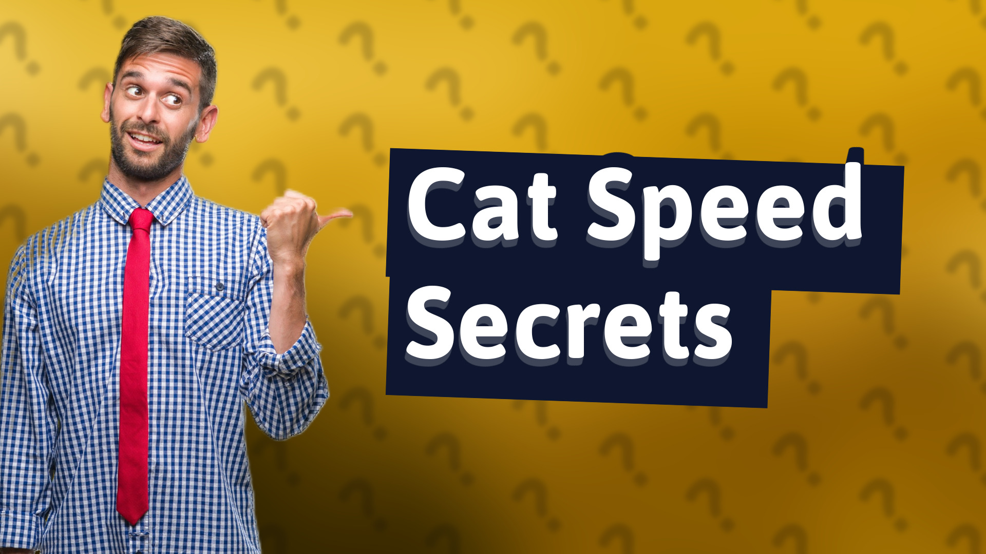 Cat Speed Secrets