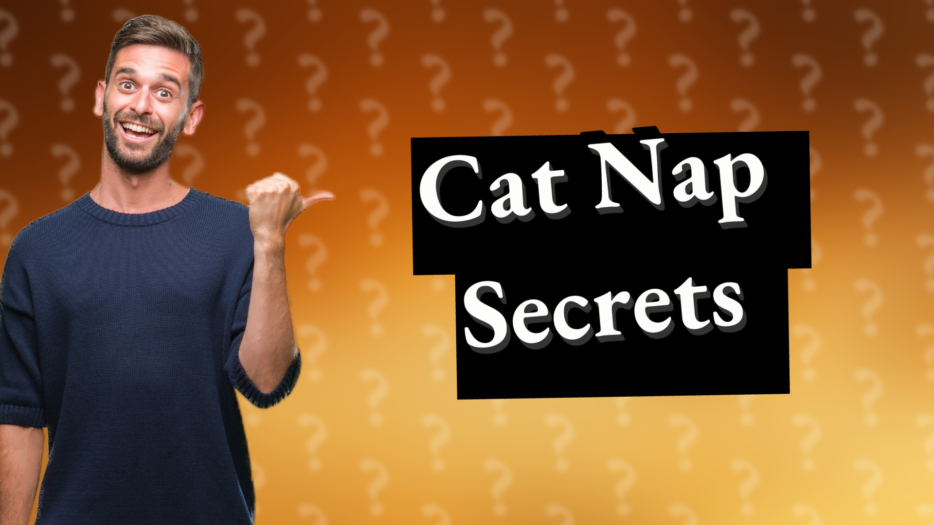 Cat Nap Secrets