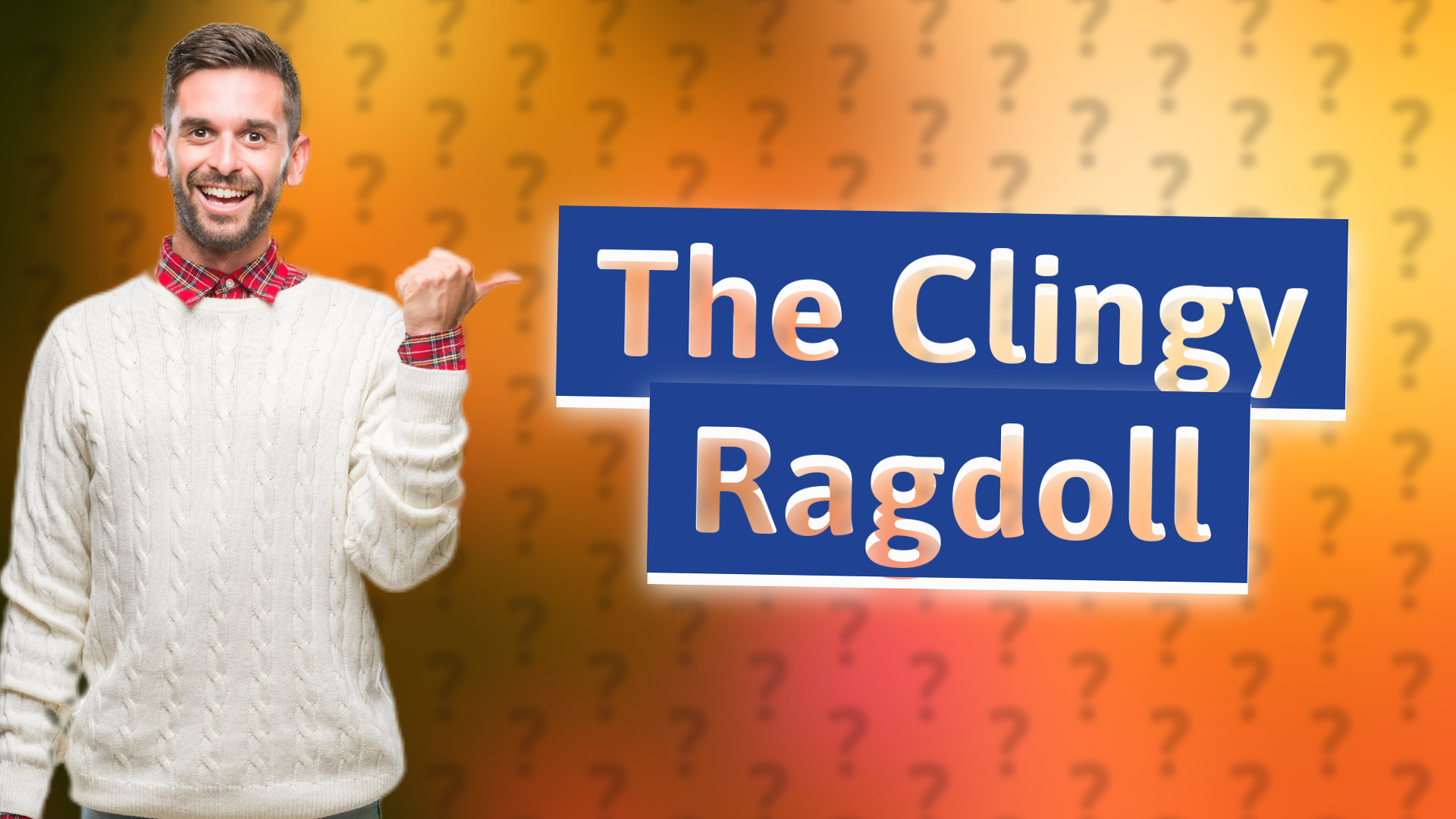 The Clingy Ragdoll