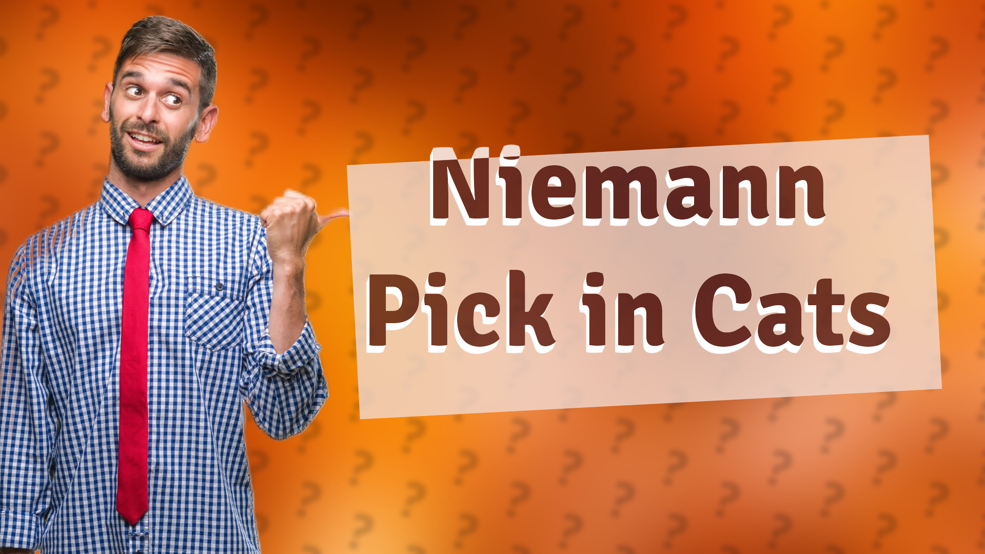 Niemann Pick in Cats