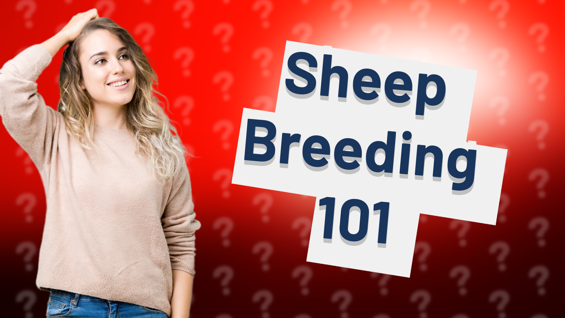 Sheep Breeding 101