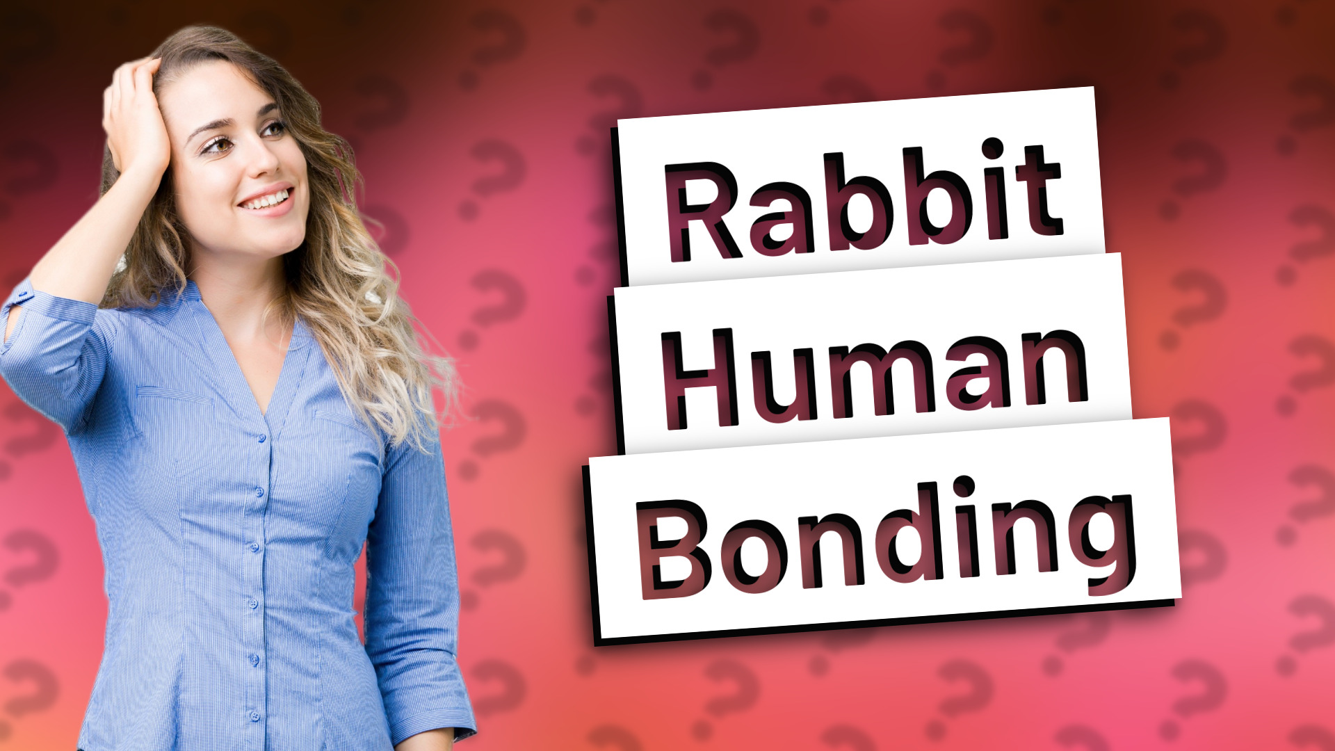 Rabbit Human Bonding