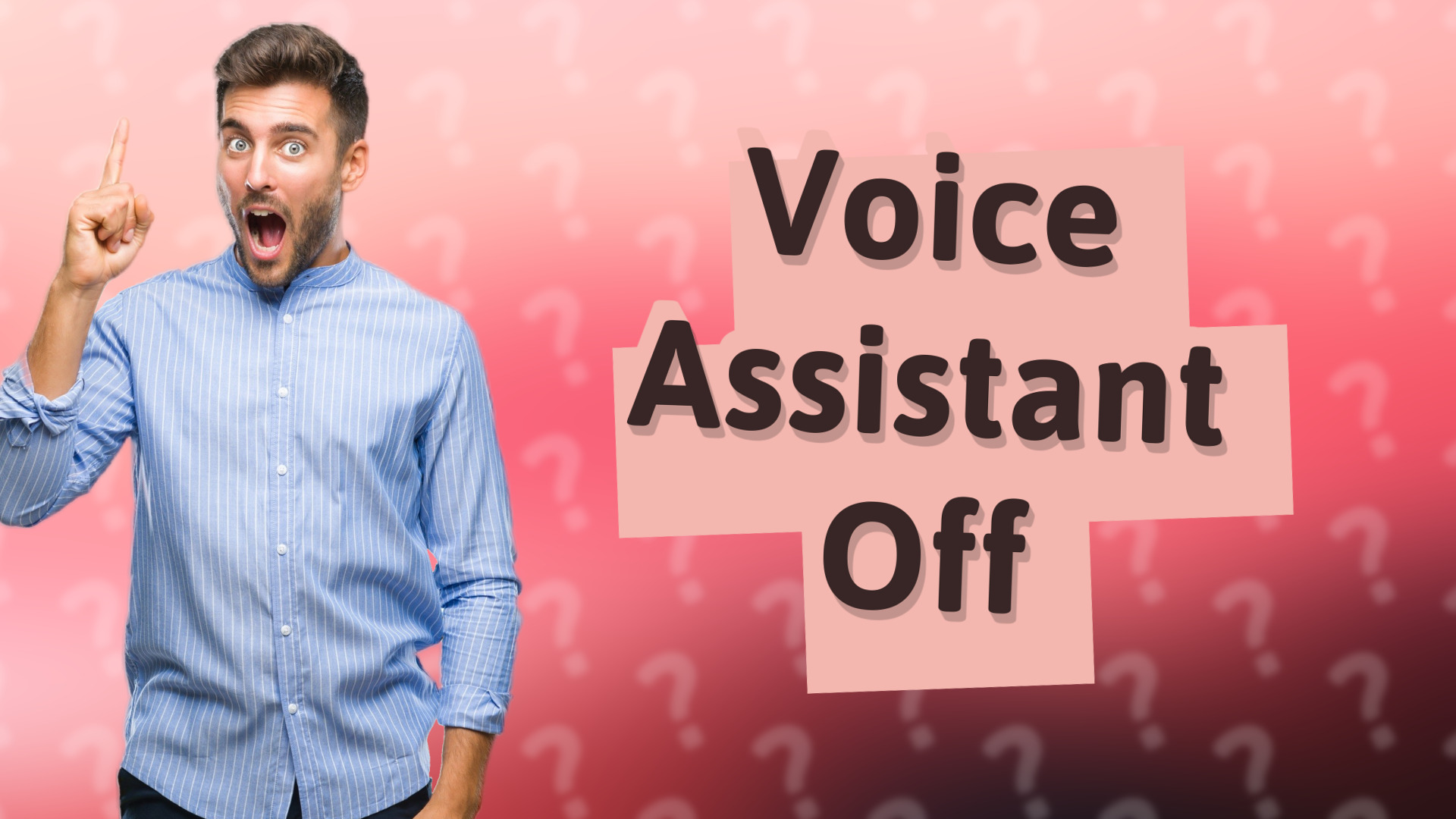 Voice Assistant Off